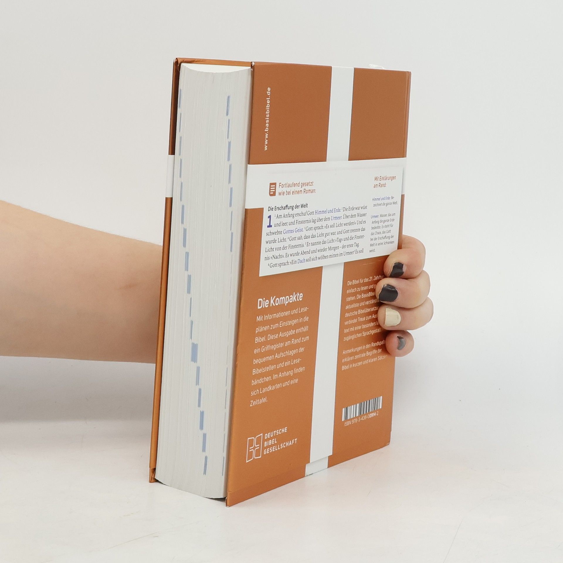 Autorenkollektiv BasisBibel. Die Kompakte. Edition 2022