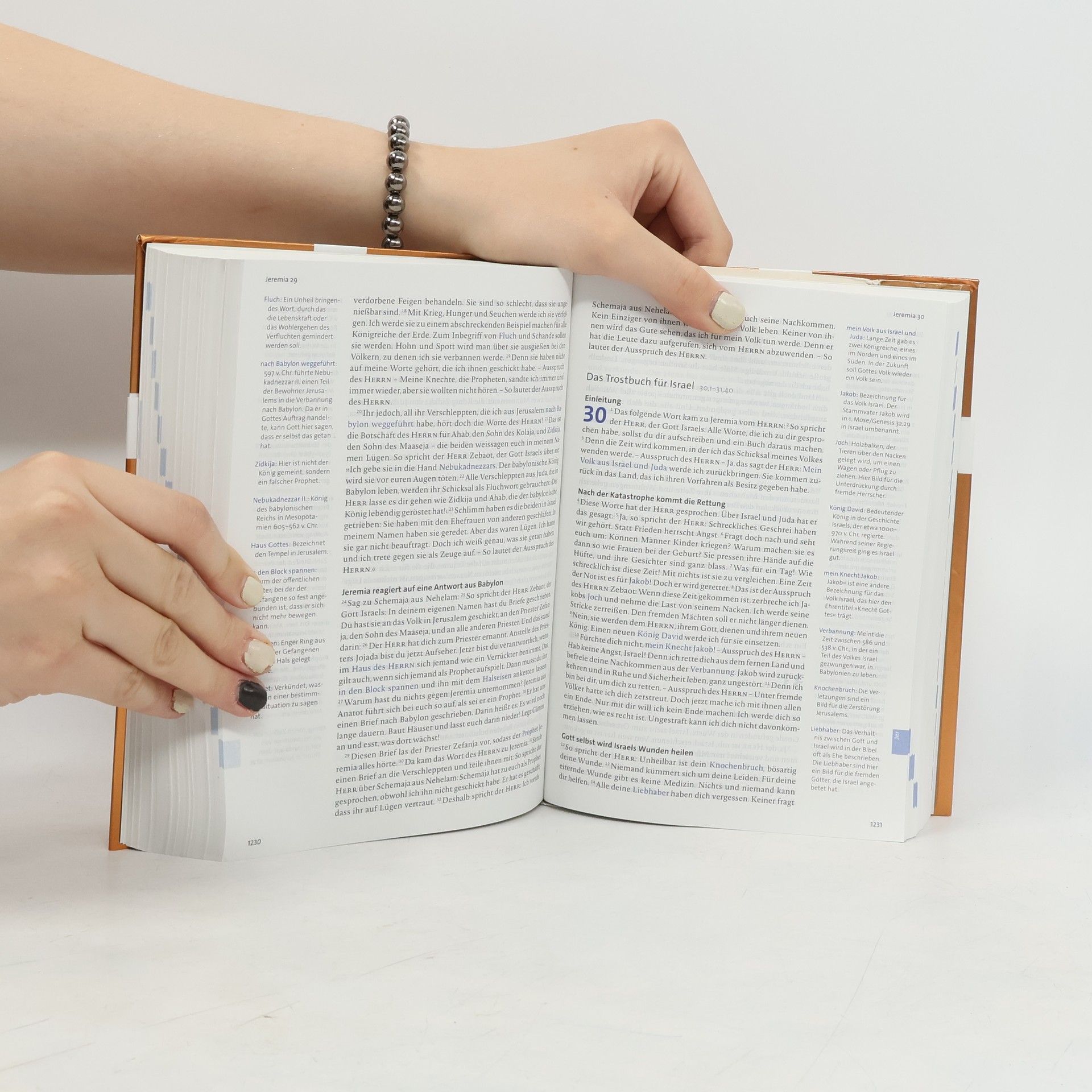 Autorenkollektiv BasisBibel. Die Kompakte. Edition 2022