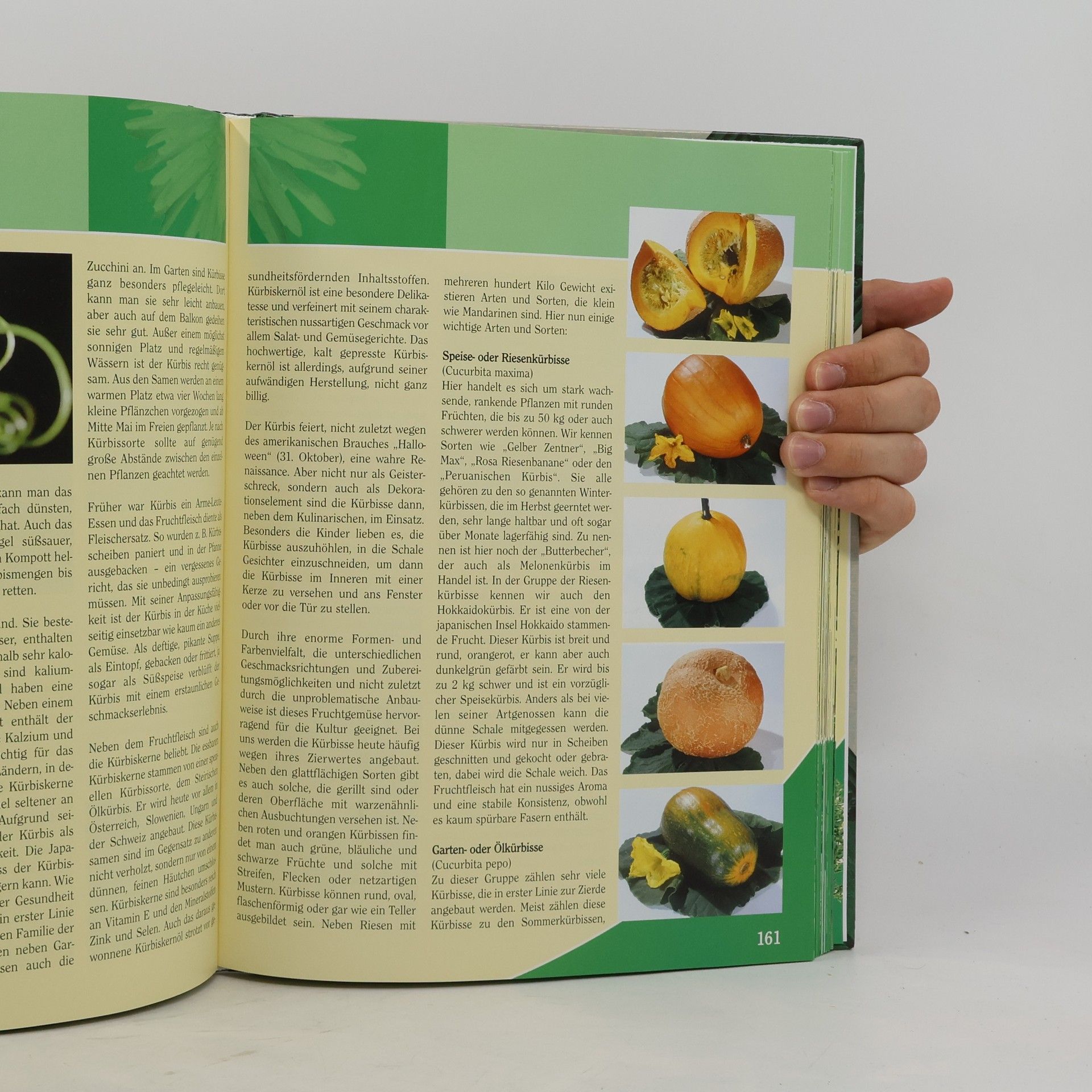 Das große Großvaters Gartenbuch