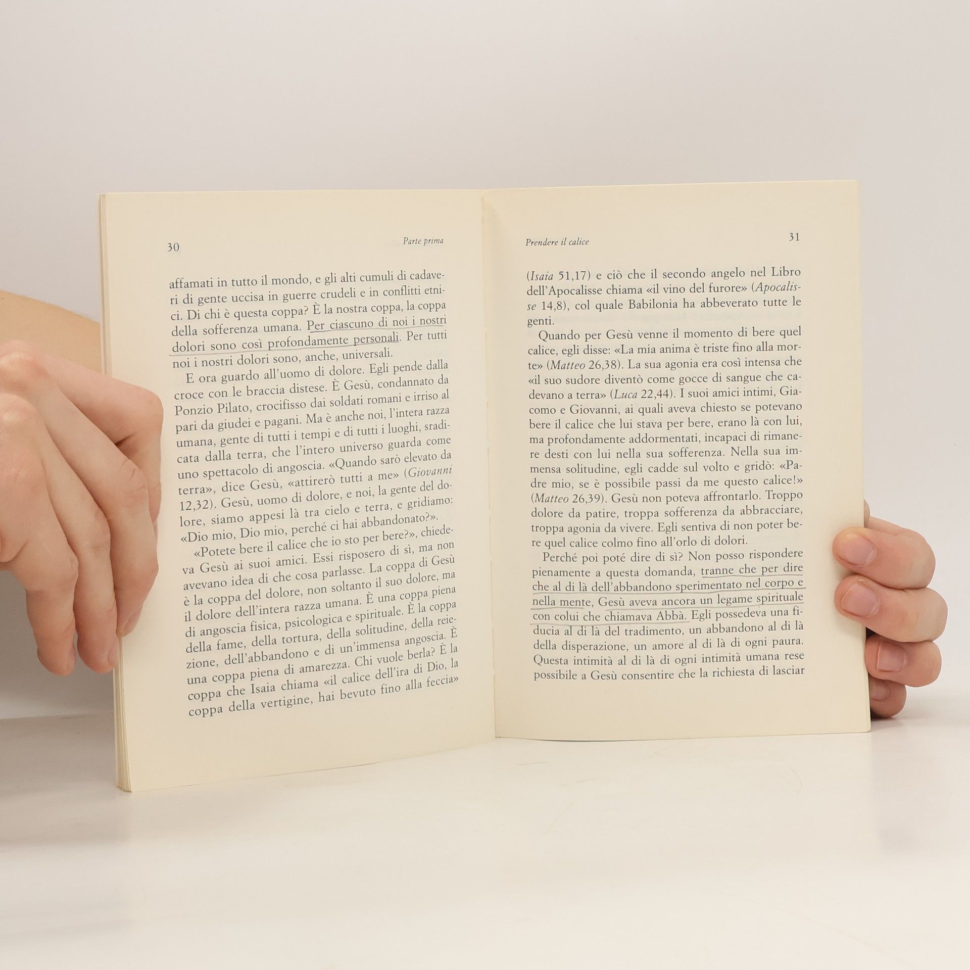 Henri J. M. Nouwen La coppa della vita. La metafora del calice eucaristico nella vita umana e cristiana