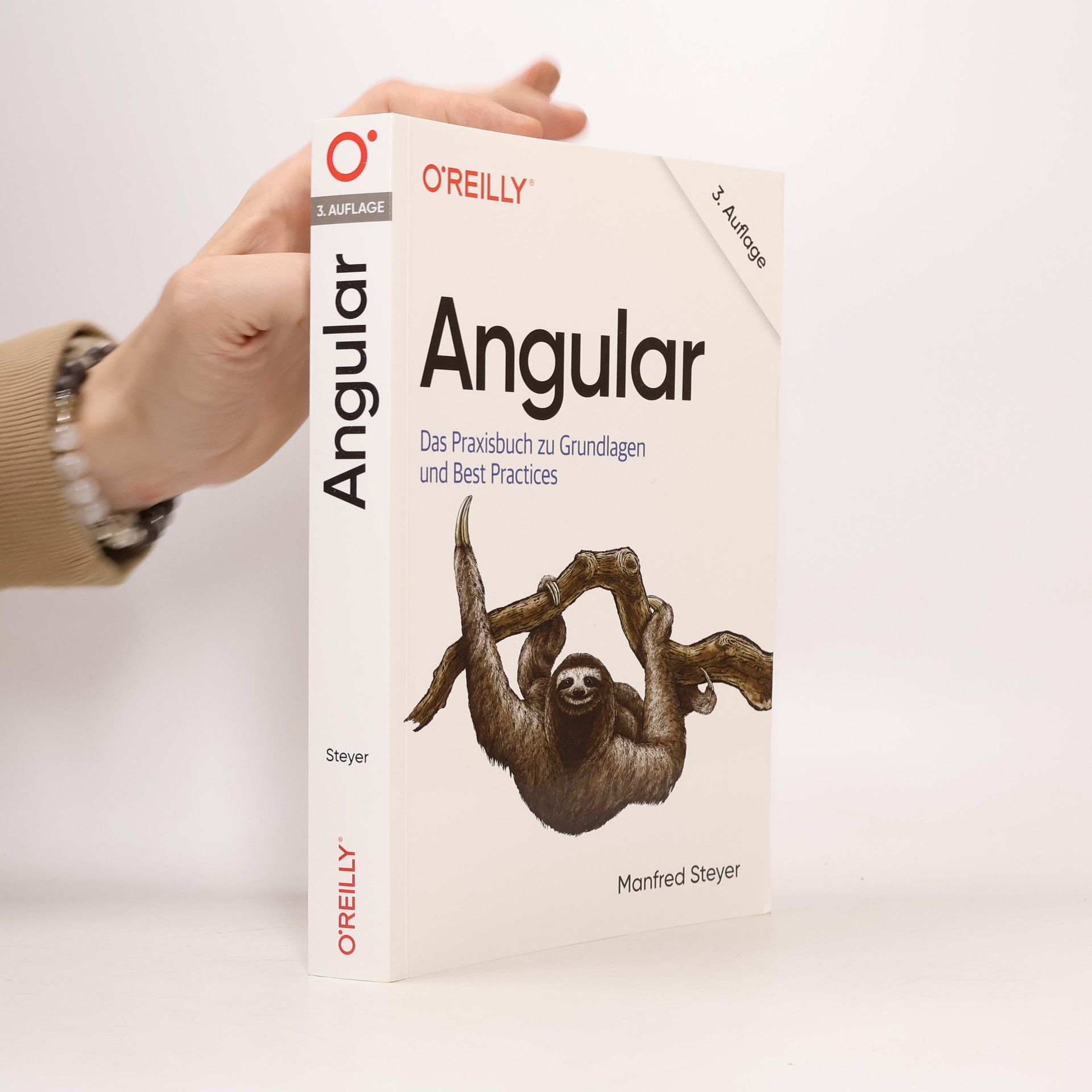 Manfred Steyer Angular