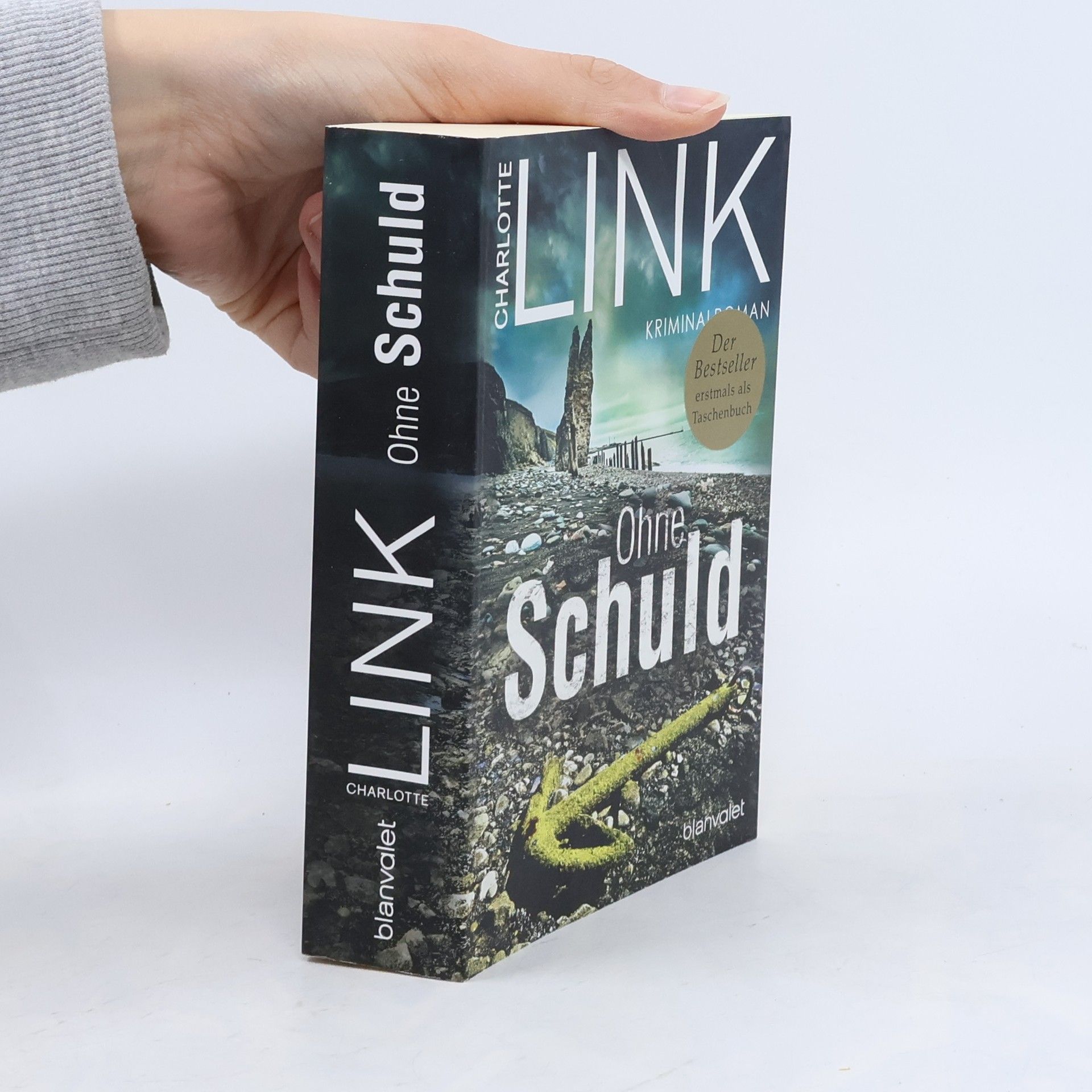 Charlotte Link Ohne Schuld