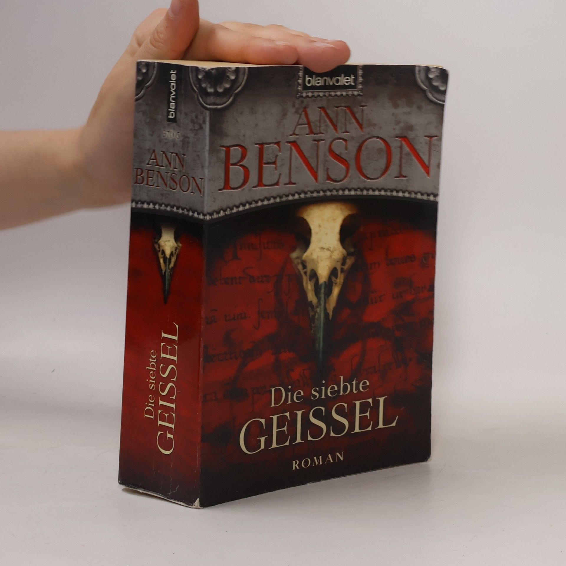 Ann Benson Die siebte Geißel