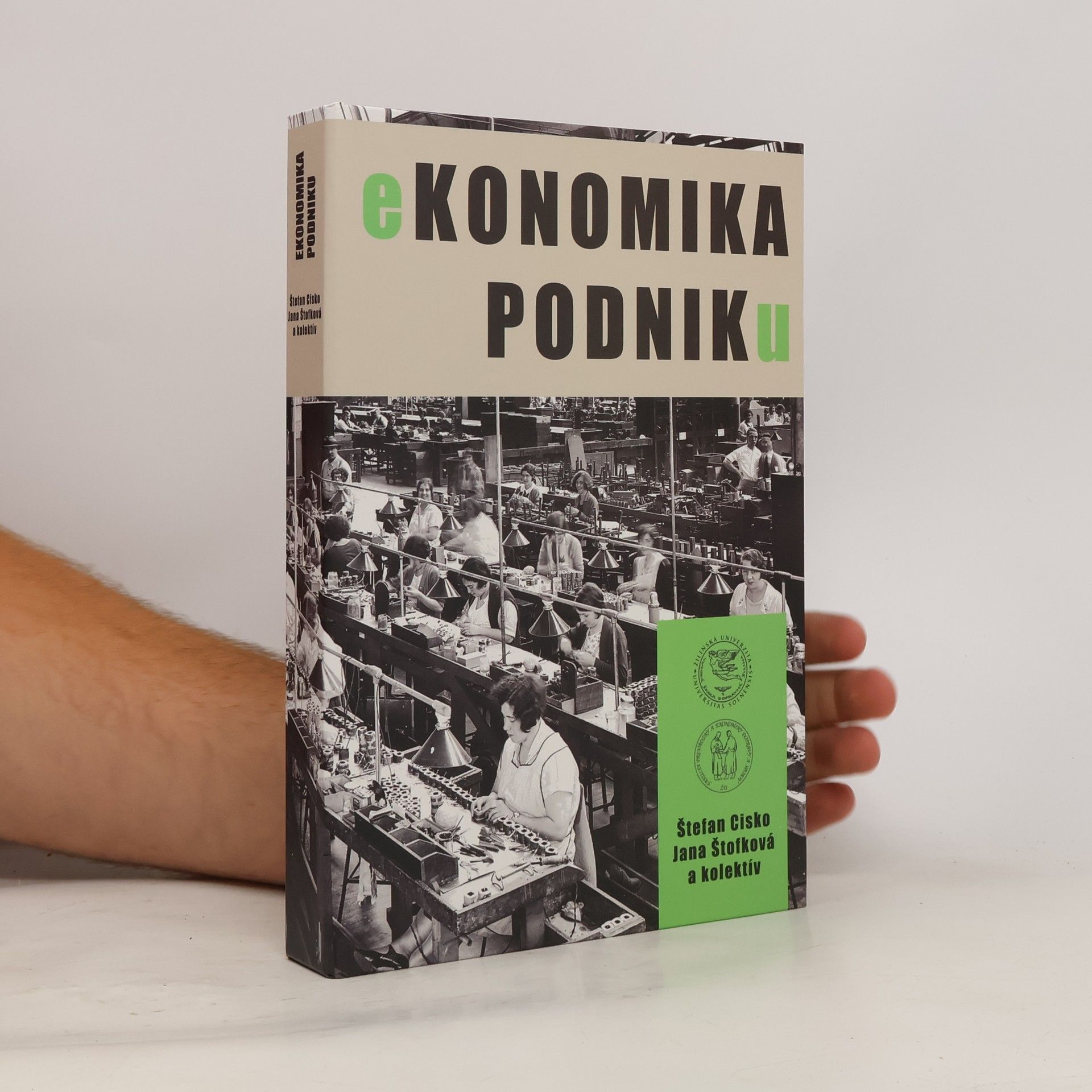 Ekonomika podniku