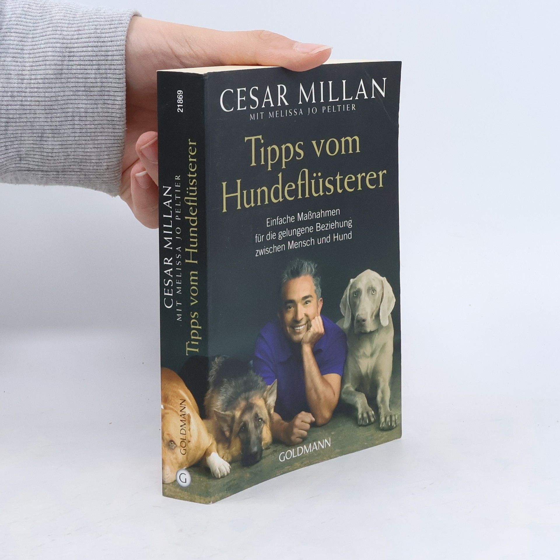 Cesar Millan Tipps vom Hundeflüsterer
