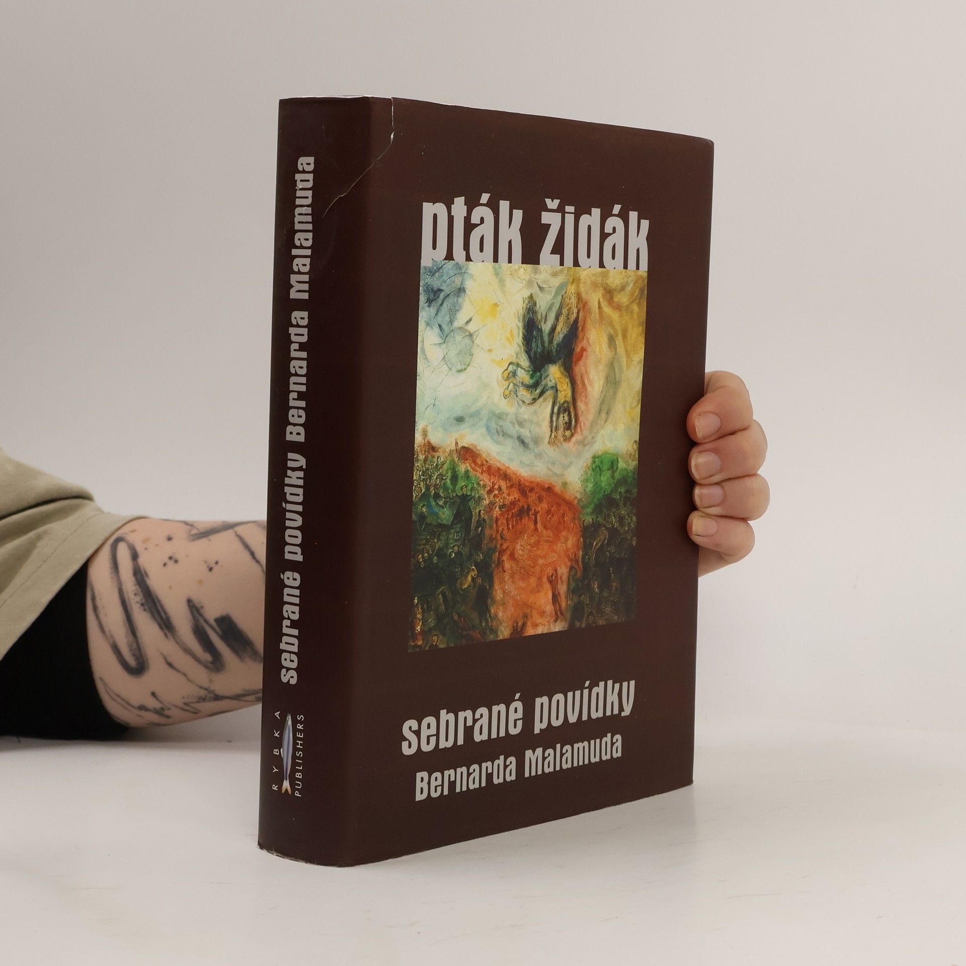 Bernard Malamud Pták židák