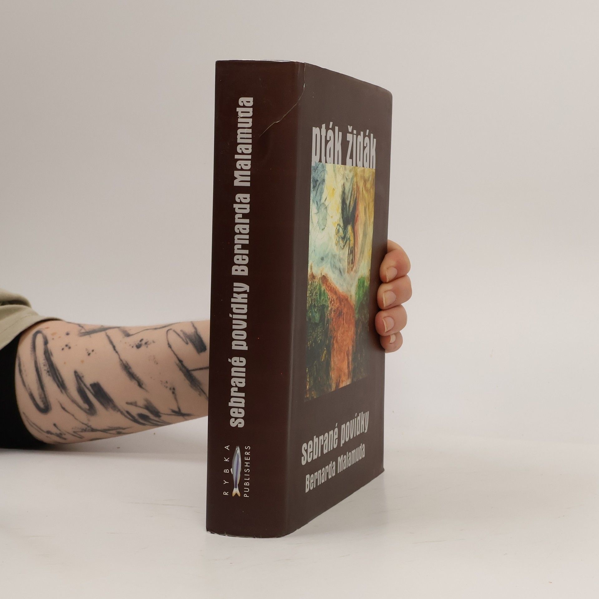 Bernard Malamud Pták židák