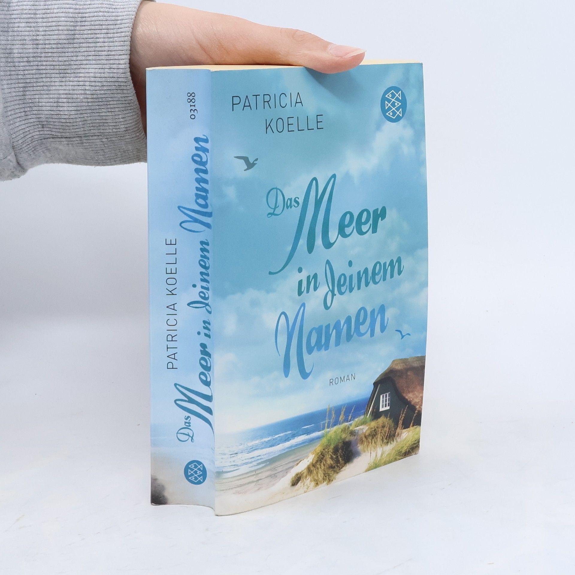 Patricia Koelle Das Meer in deinem Namen