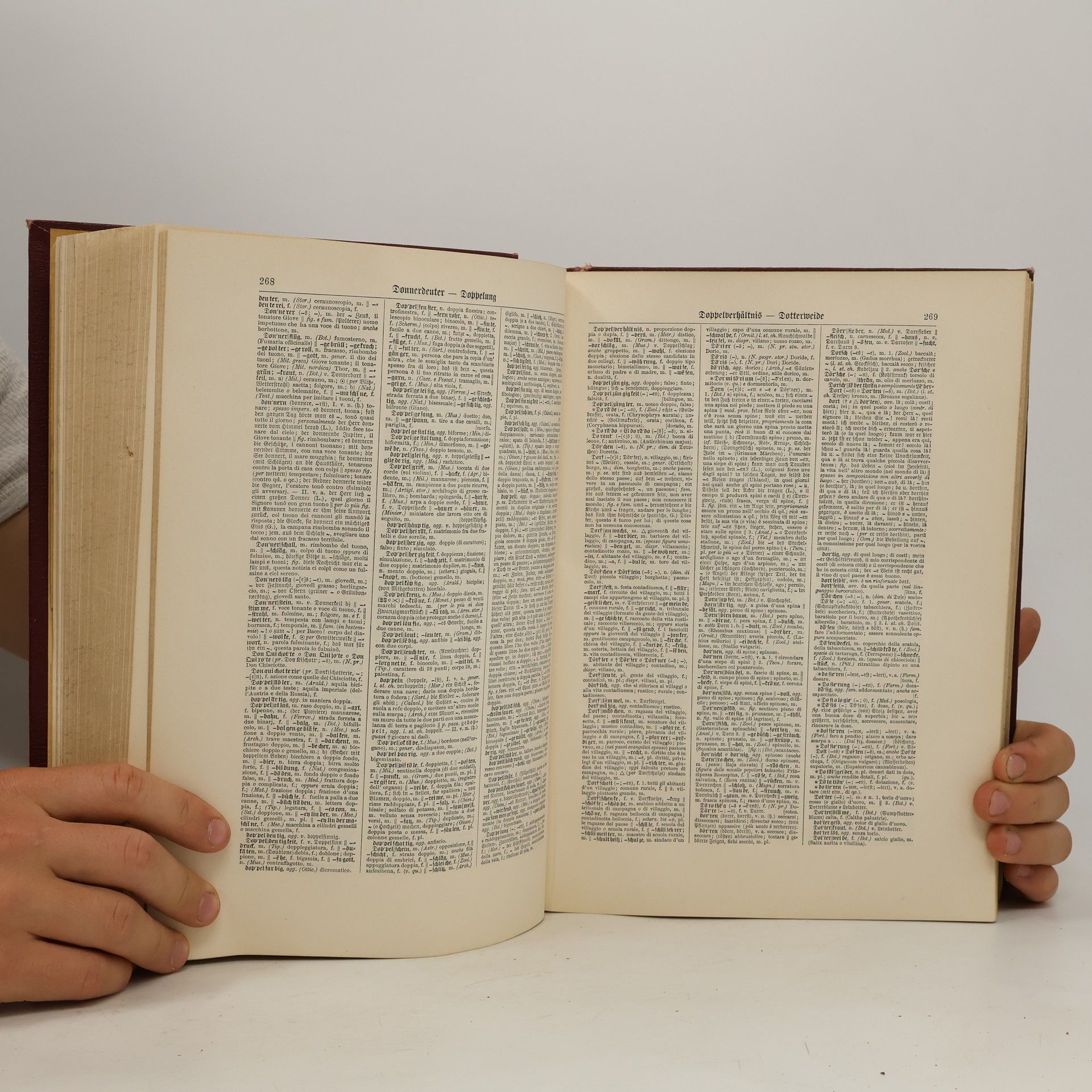 Oskar Bulle Neues italienisch-deutsches und deutsch-italienisches Wörterbuch II