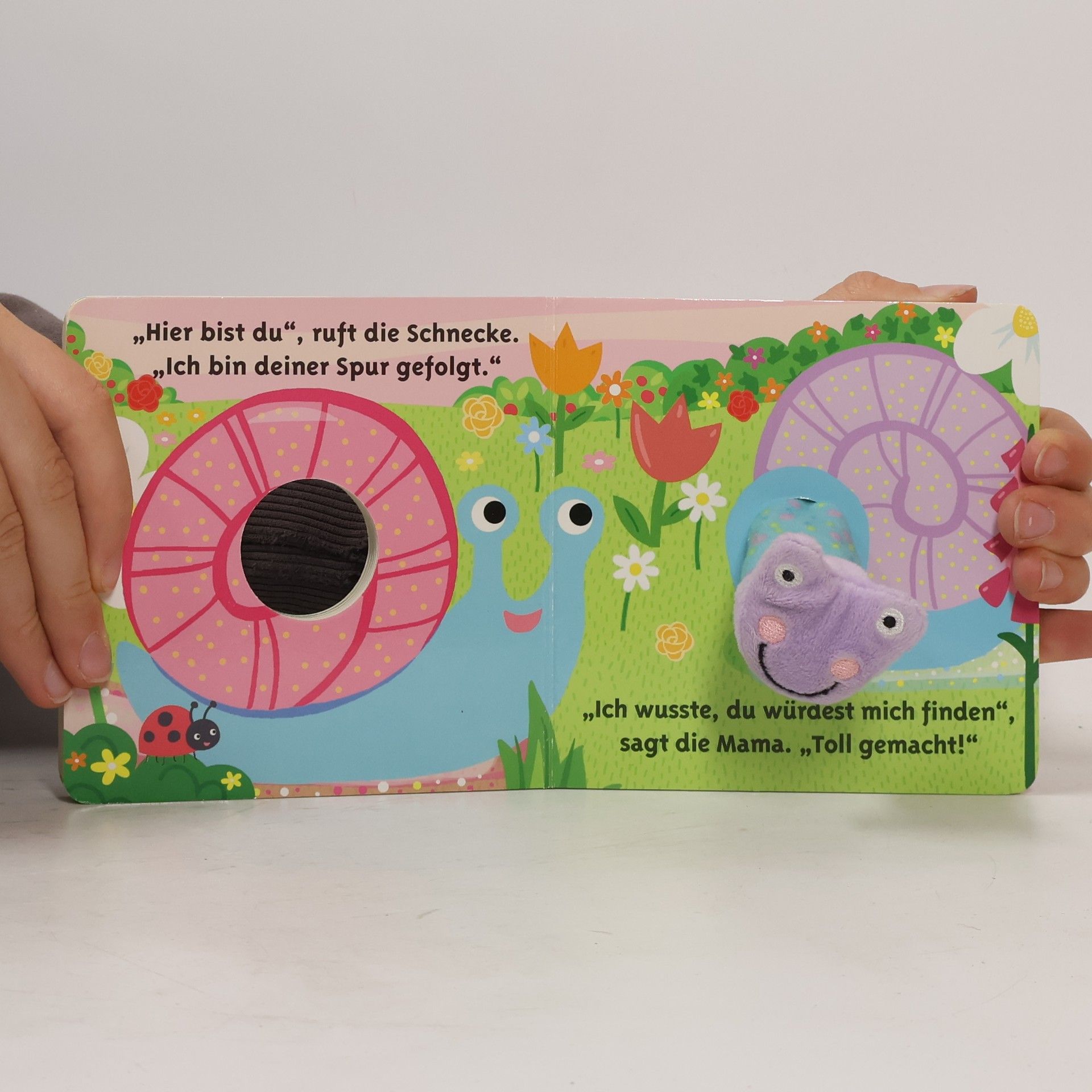 Autorenkollektiv Die kleine Schnecke