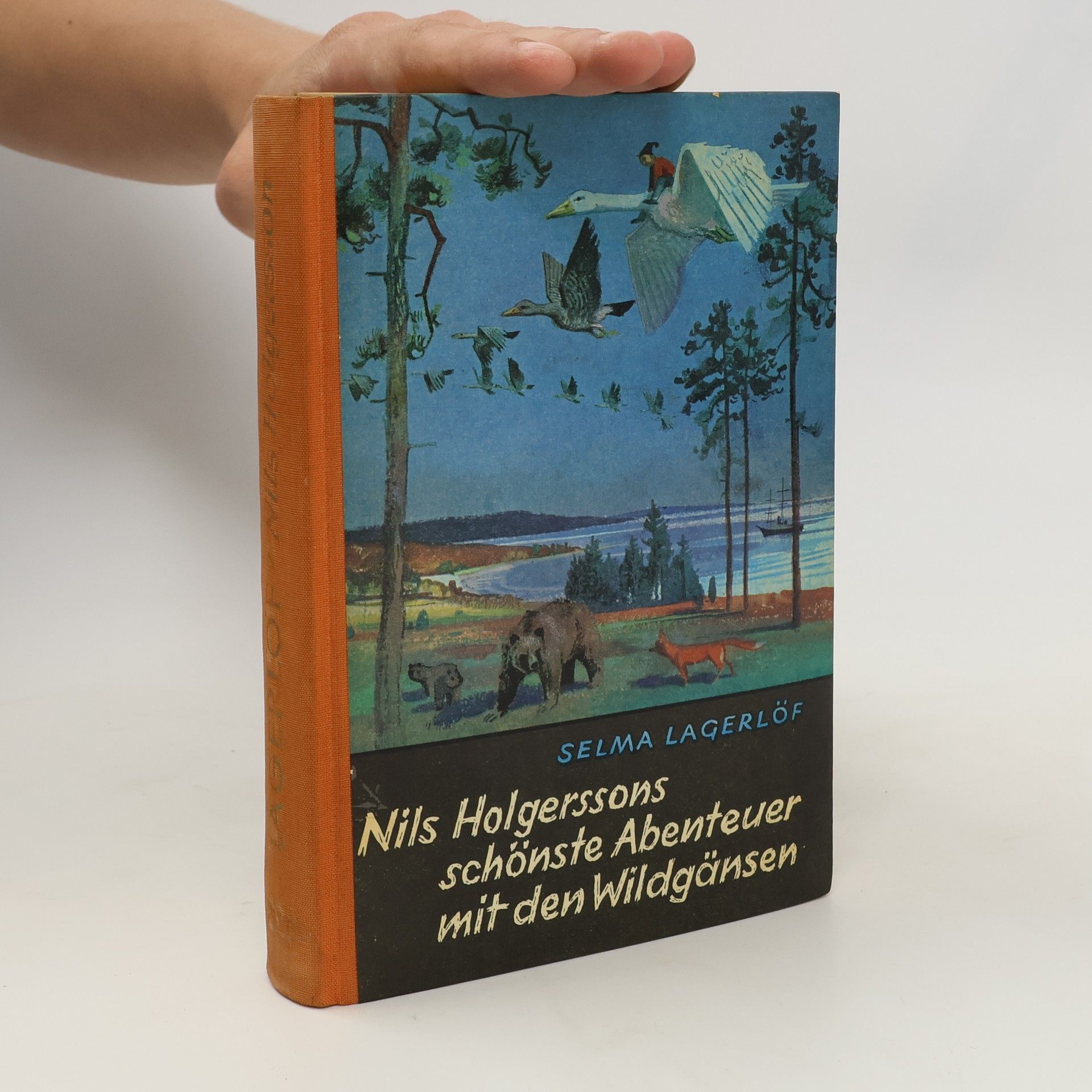Selma Lagerlöf Nils Holgerssons schönste Abenteuer mit den Wildgänsen