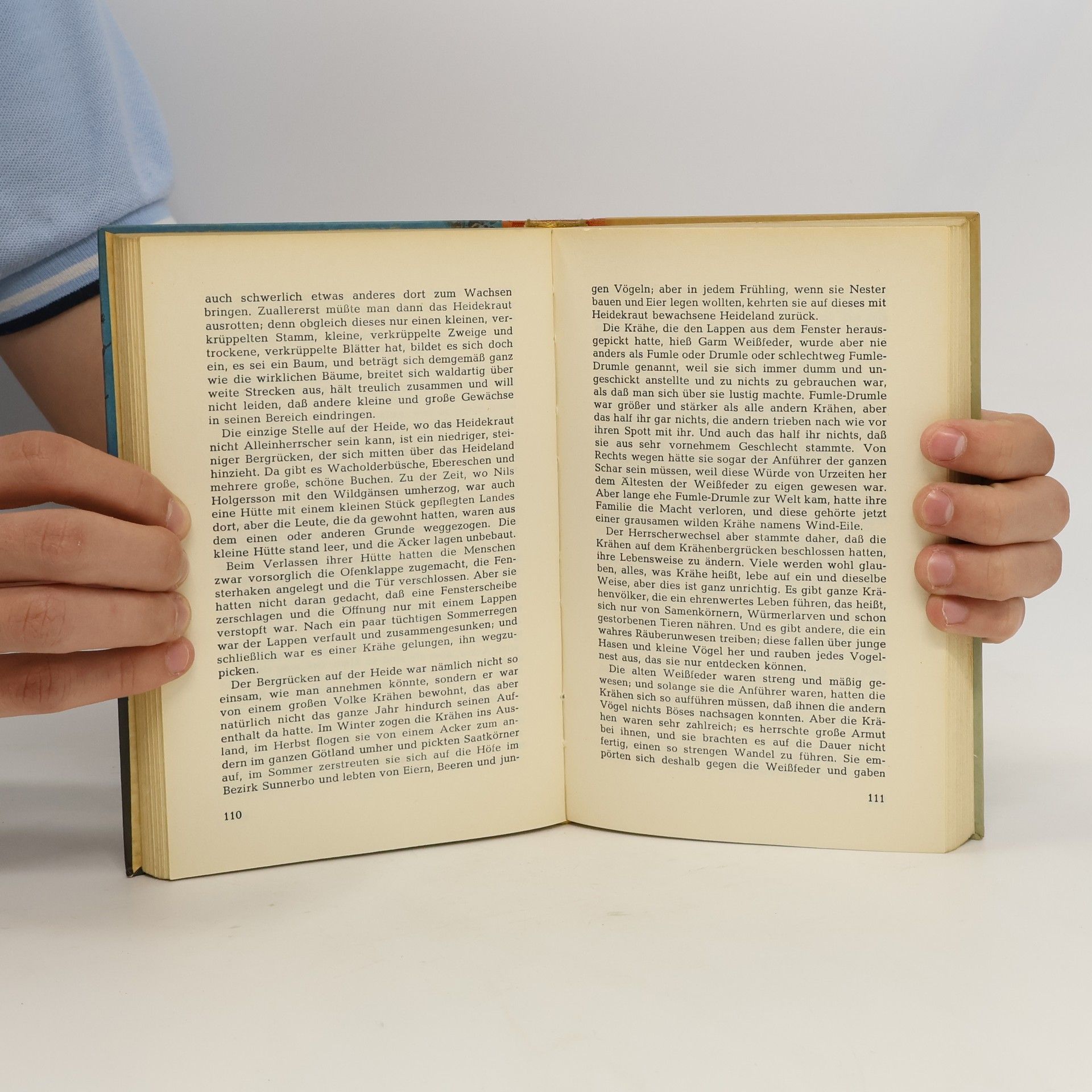 Selma Lagerlöf Nils Holgerssons schönste Abenteuer mit den Wildgänsen