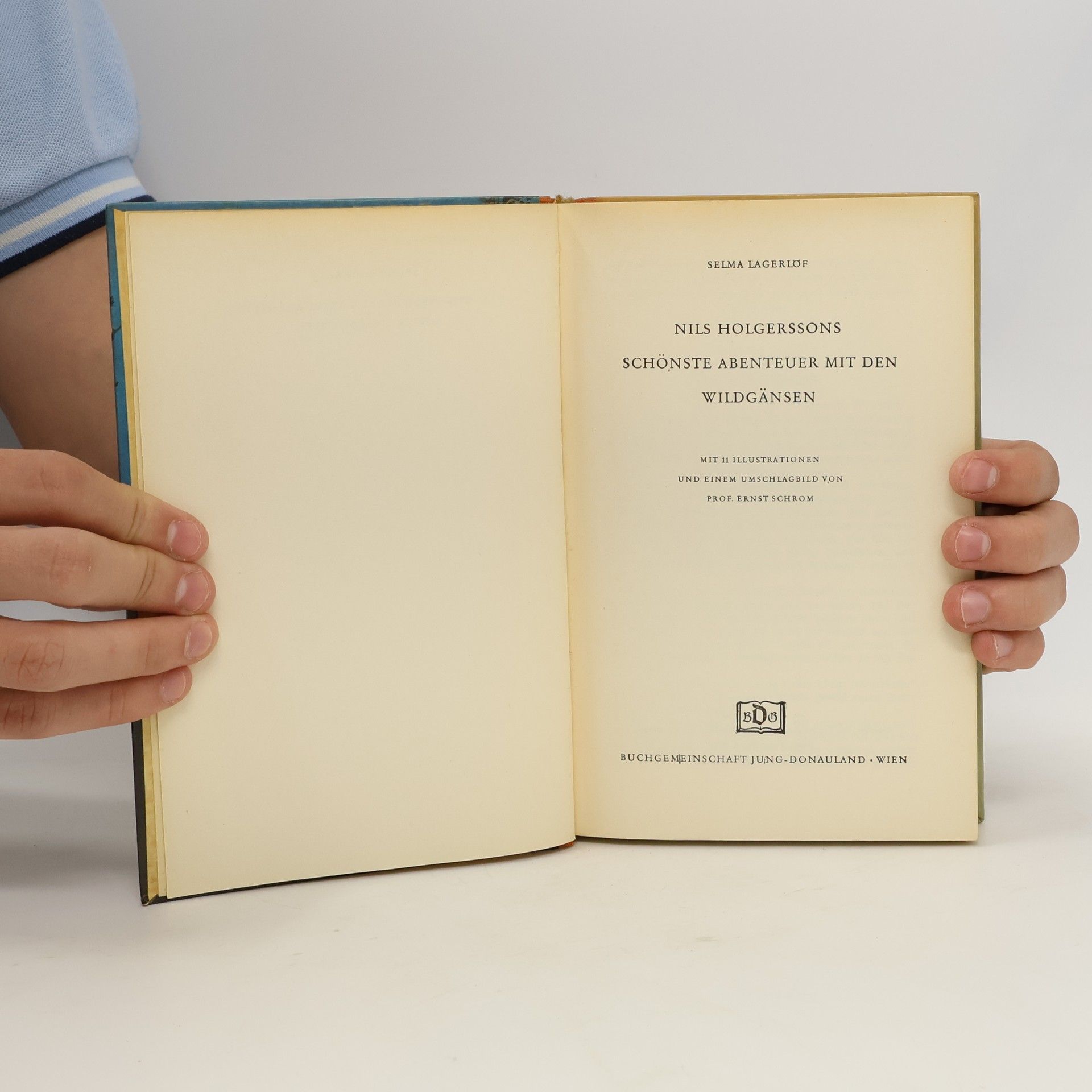 Selma Lagerlöf Nils Holgerssons schönste Abenteuer mit den Wildgänsen