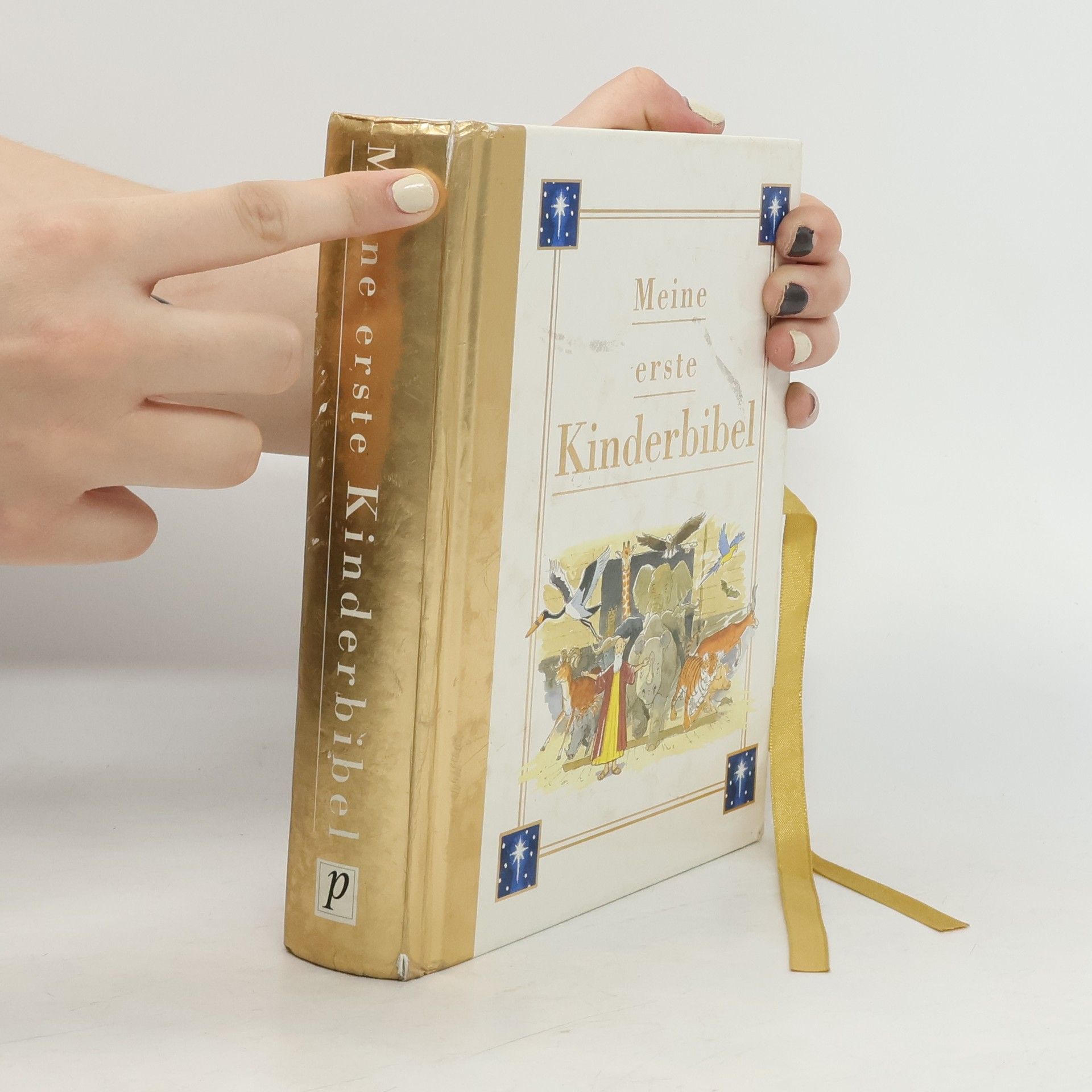 Various authors Meine erste Kinderbibel