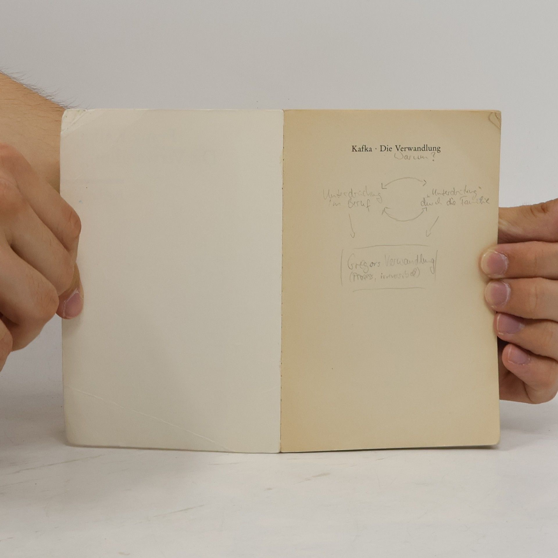 Franz Kafka Die Verwandlung