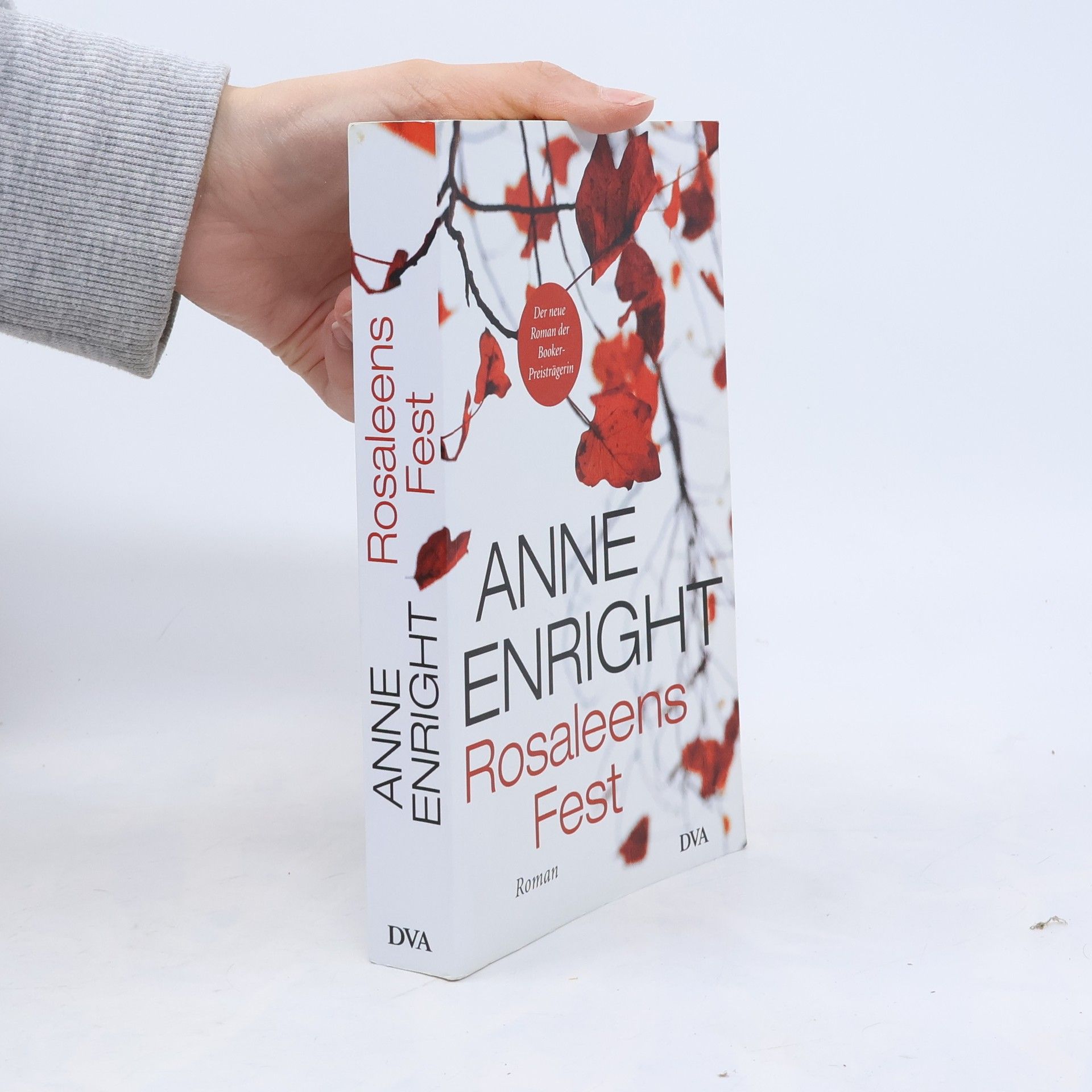Anne Enright Rosaleens Fest