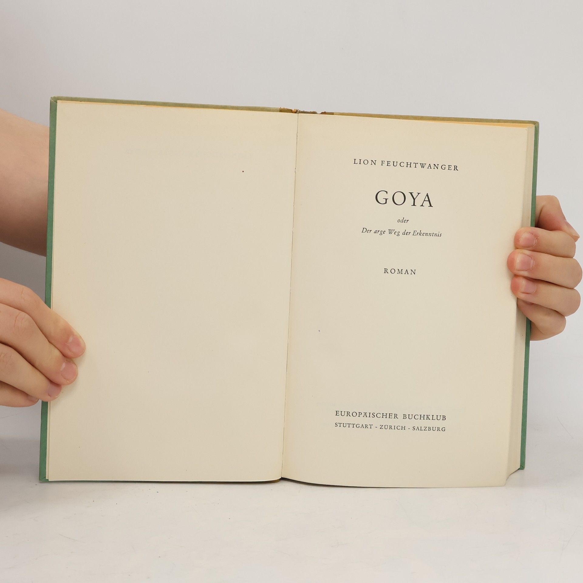 Lion Feuchtwanger Goya oder Der arge Weg der Erkenntnis