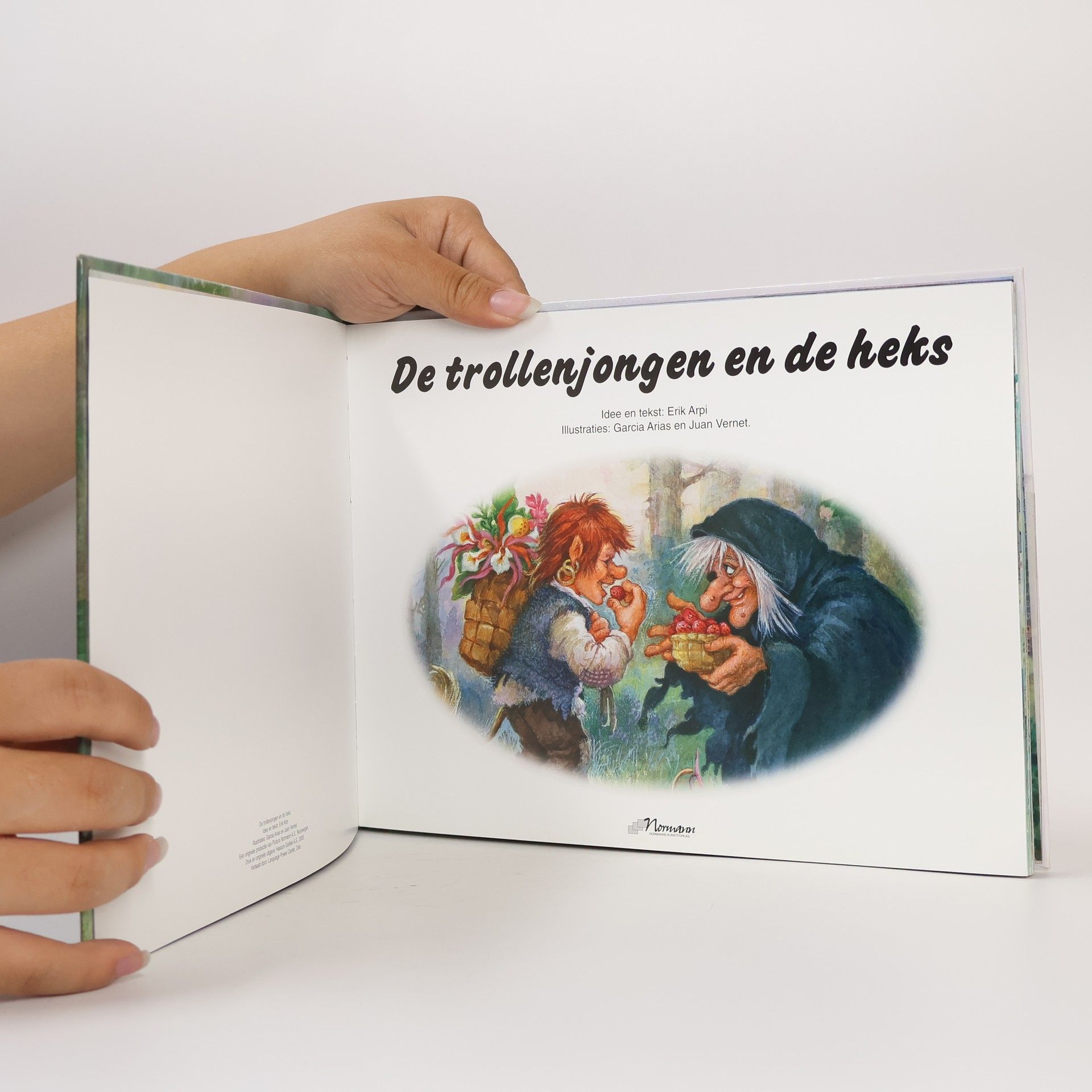 Erik Arpi De trollenjongen en de heks