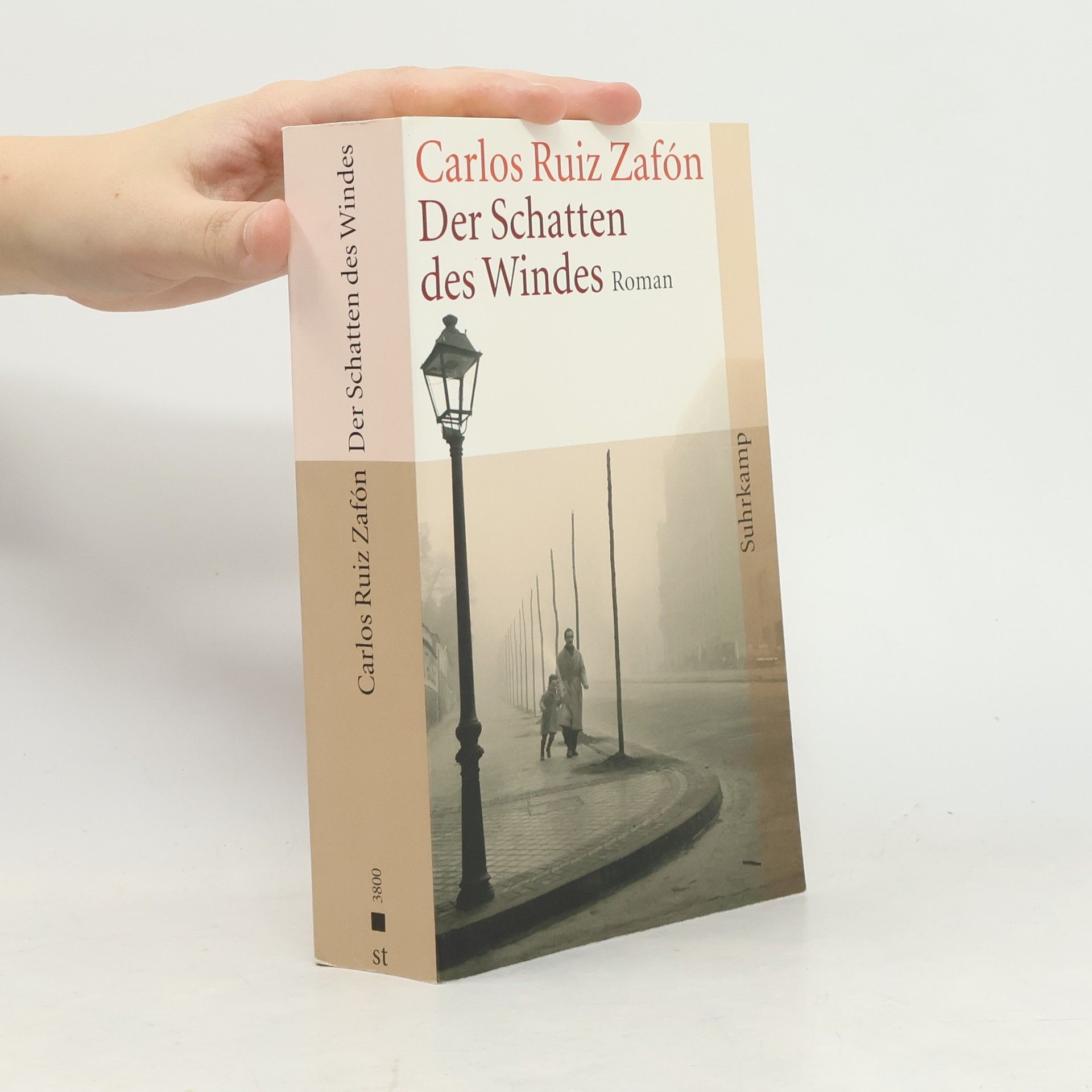 Der Schatten des Windes