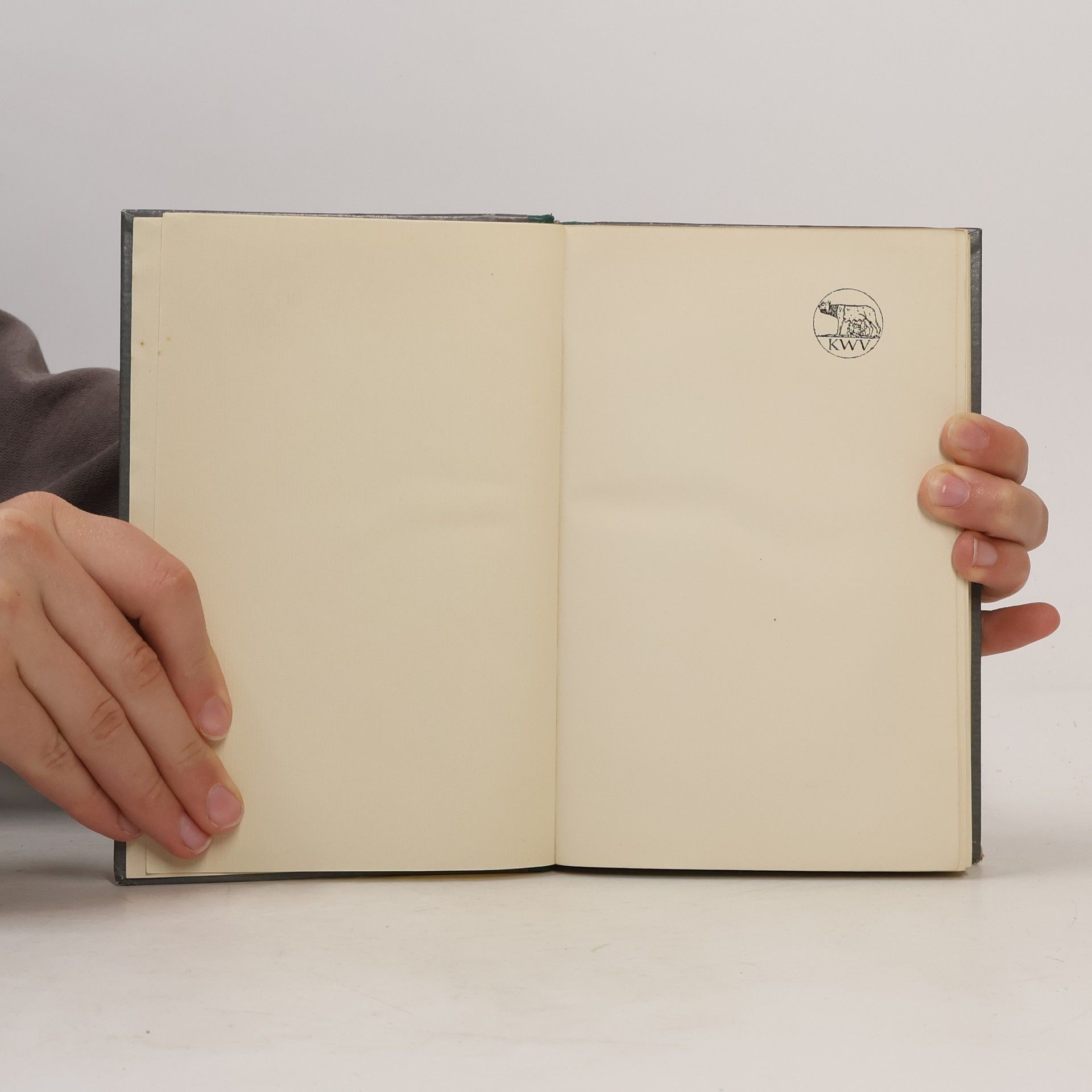 Guy de Maupassant Unser Herz