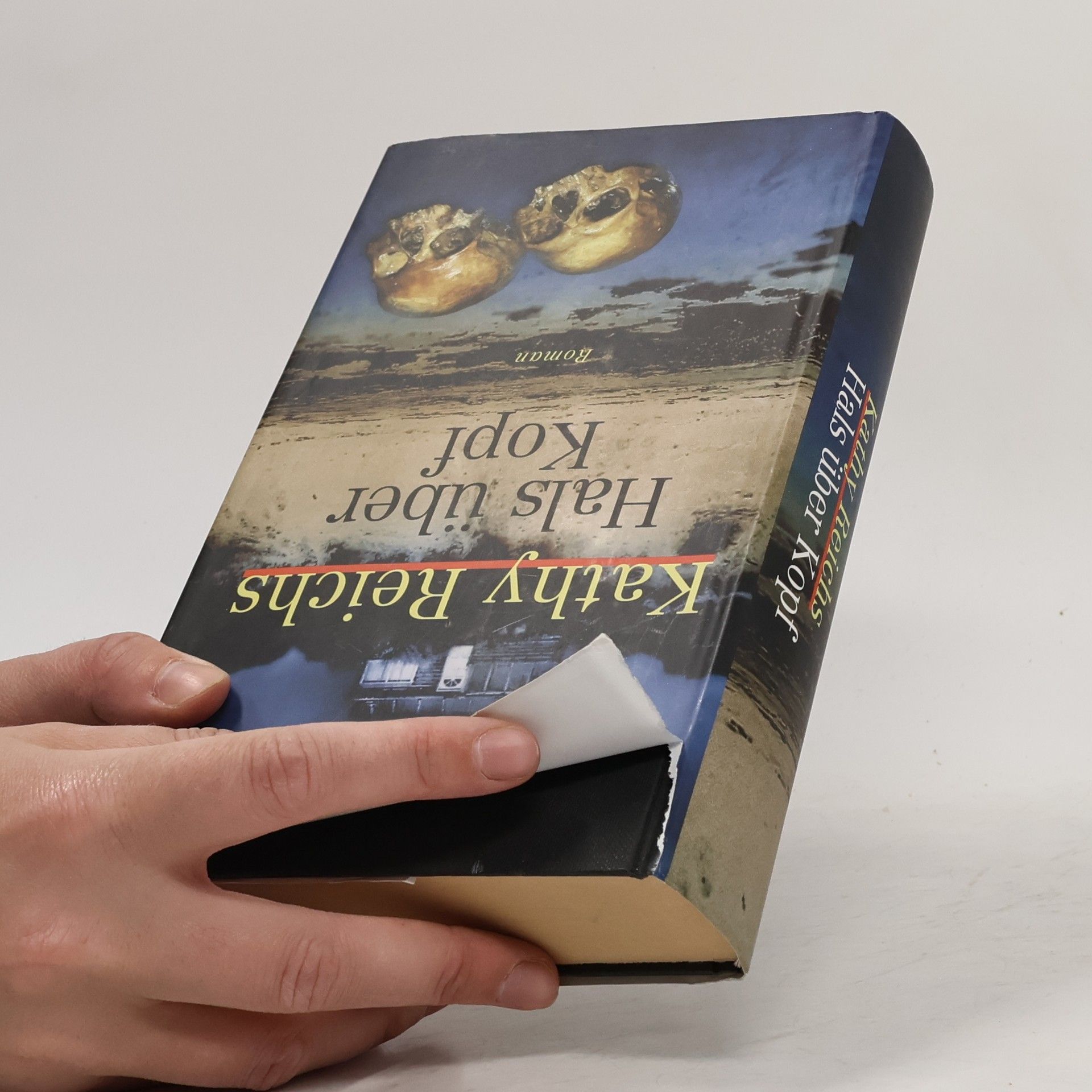 Kathy Reichs Hals über Kopf