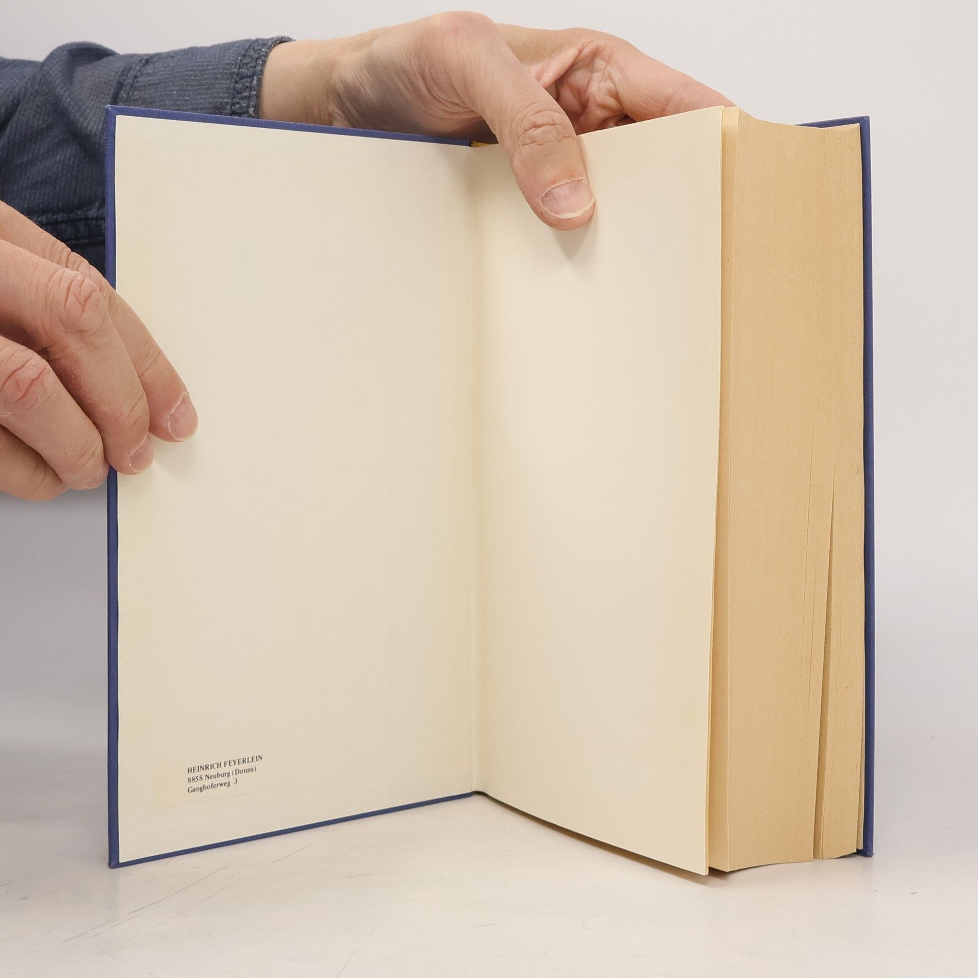 Walter Heynen Das Buch Deutscher Briefe