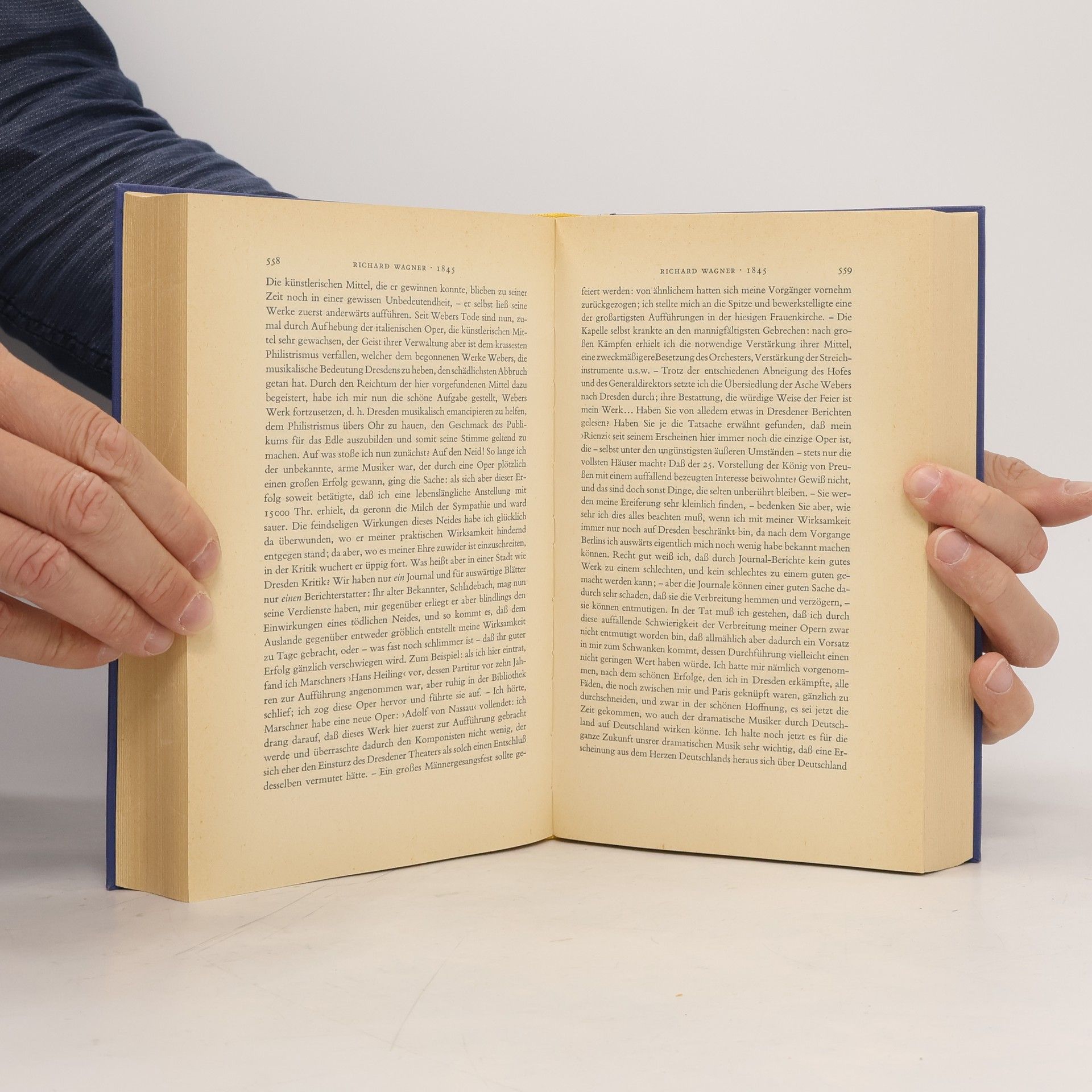 Walter Heynen Das Buch Deutscher Briefe