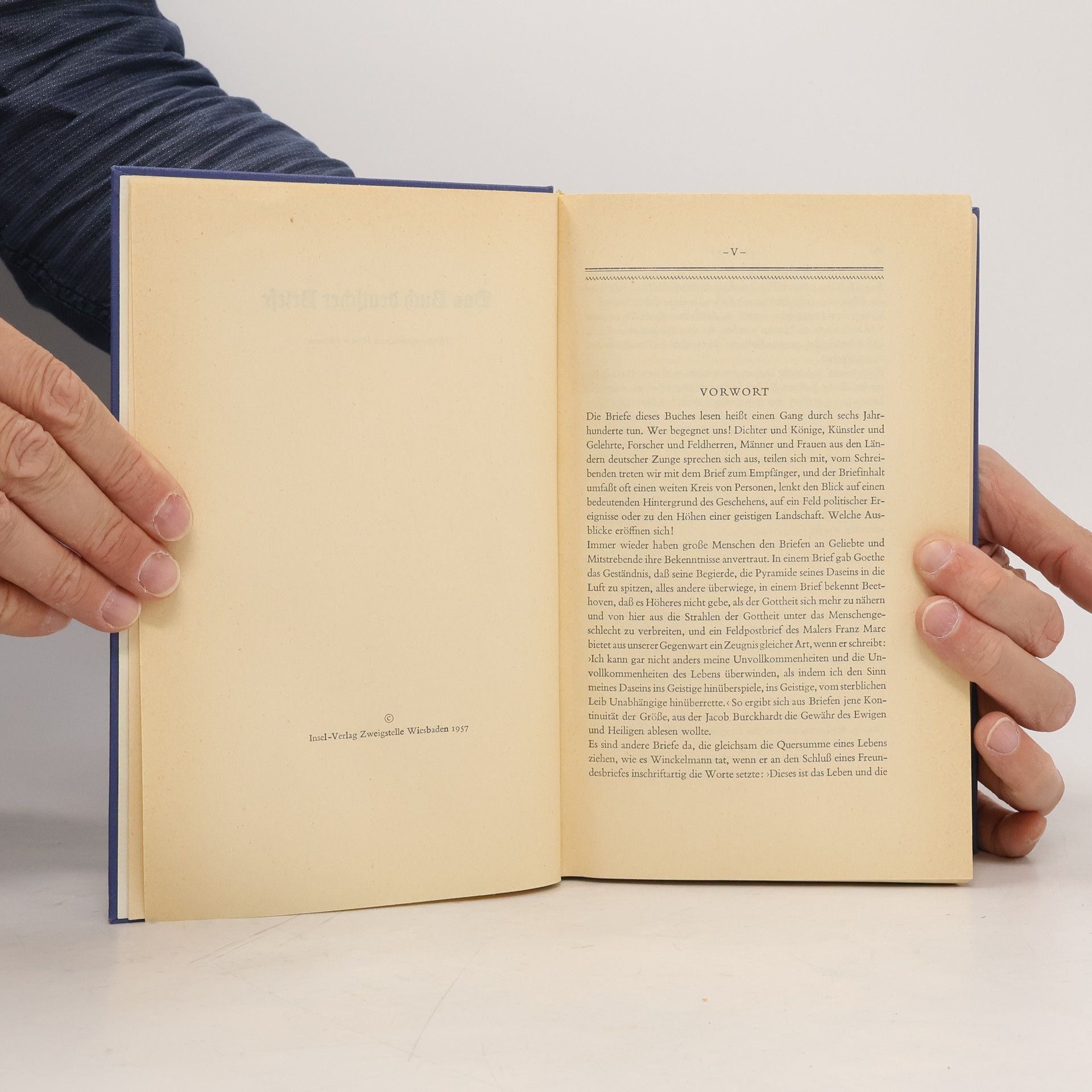 Walter Heynen Das Buch Deutscher Briefe