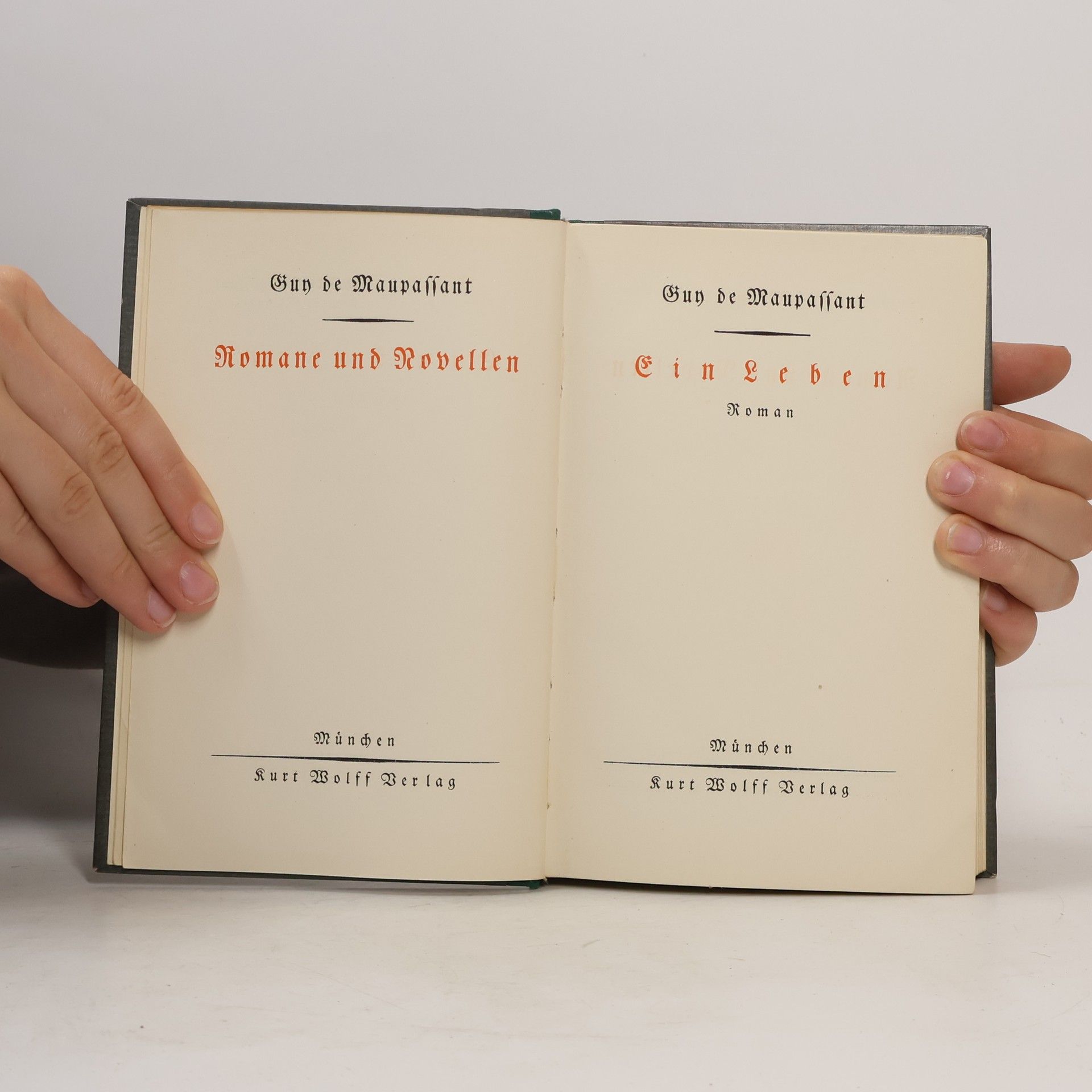 Guy de Maupassant Ein Leben