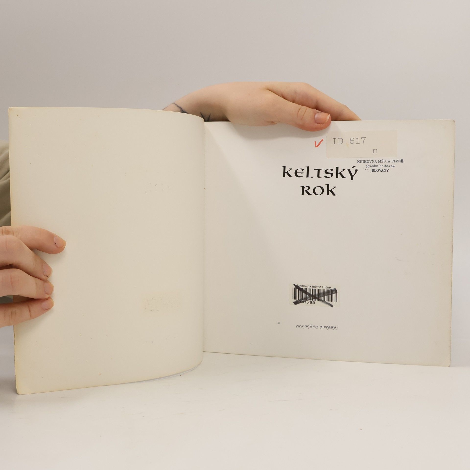 Caitlin Matthews Keltský rok : průvodce keltským světem duchovna a moudrosti