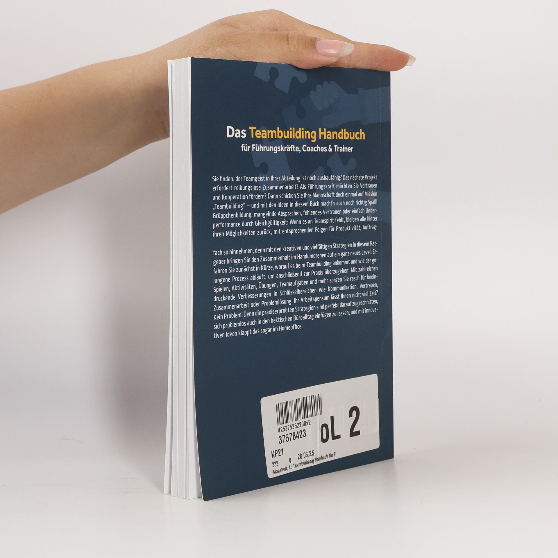 Lorenz Mansholt Das Teambuilding Handbuch für Führungskräfte, Coaches & Trainer