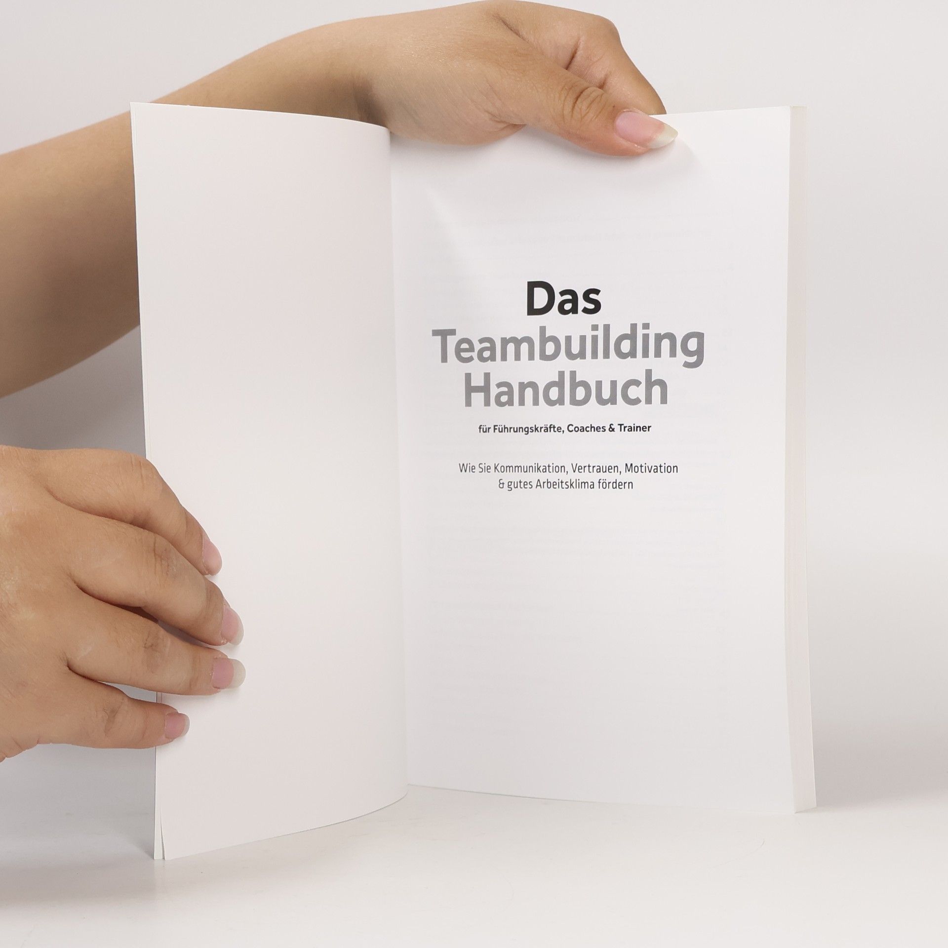 Lorenz Mansholt Das Teambuilding Handbuch für Führungskräfte, Coaches & Trainer