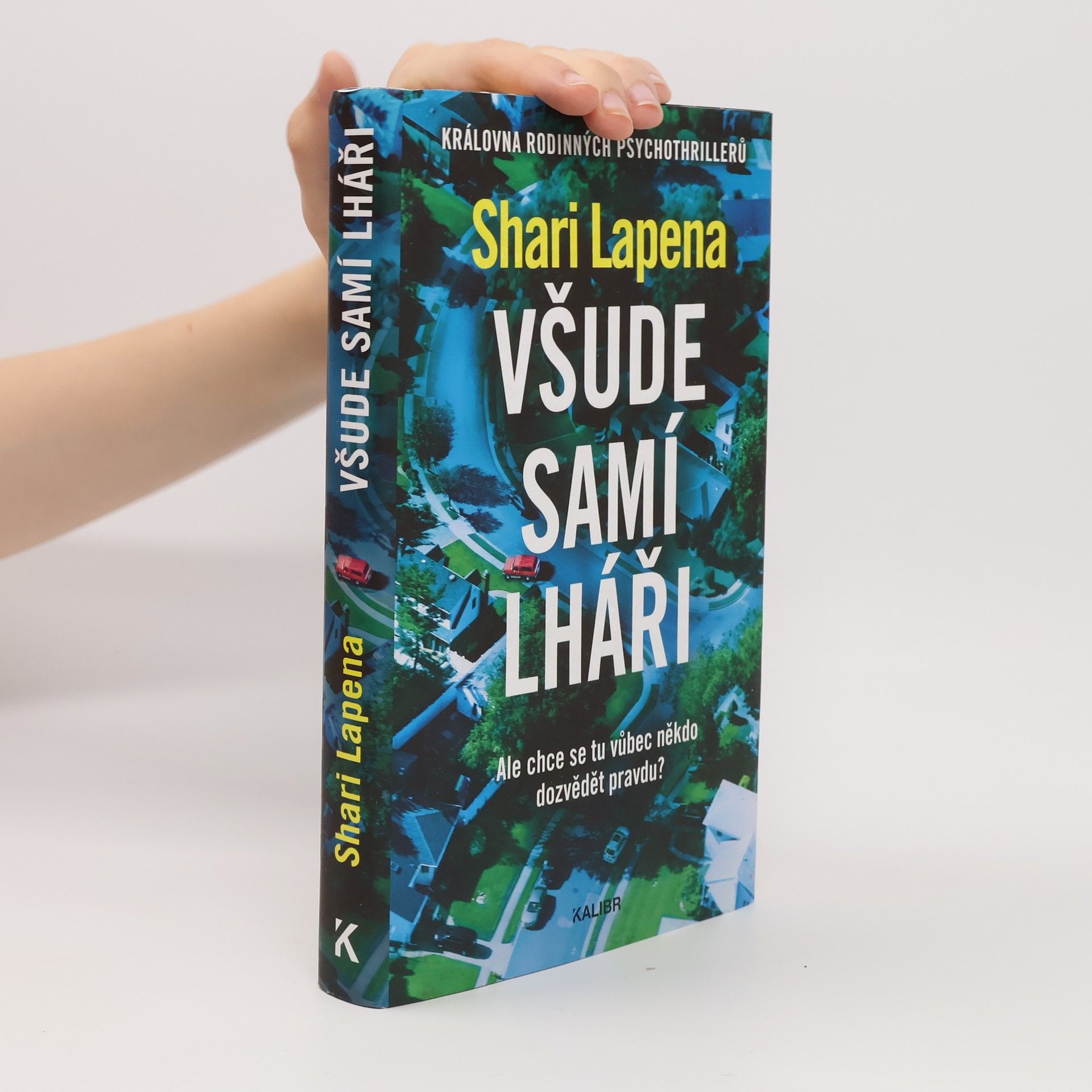 Shari Lapena Všude samí lháři