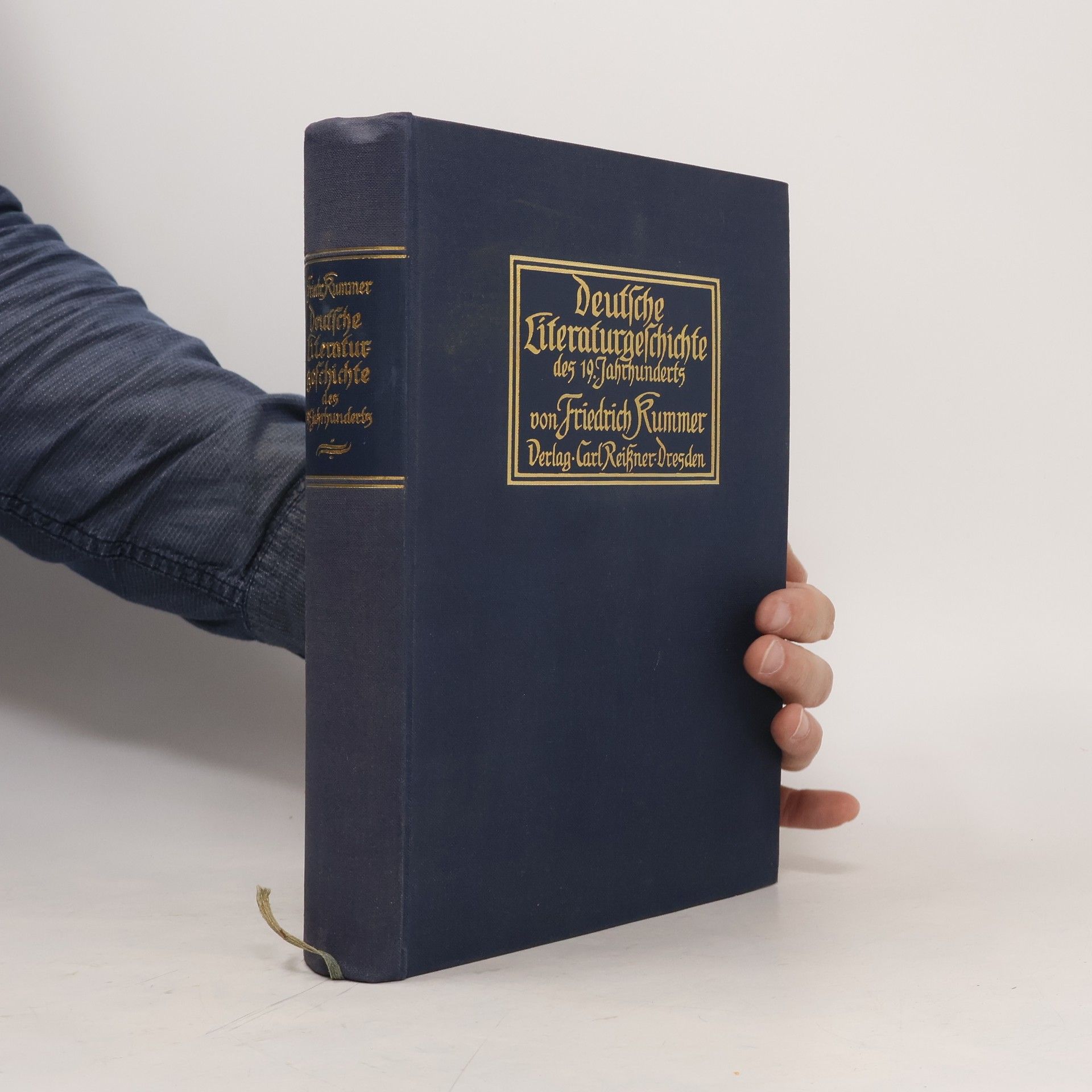Friedrich Kummer Deutsche Literaturgeschichte des 19. Jahrhunderts