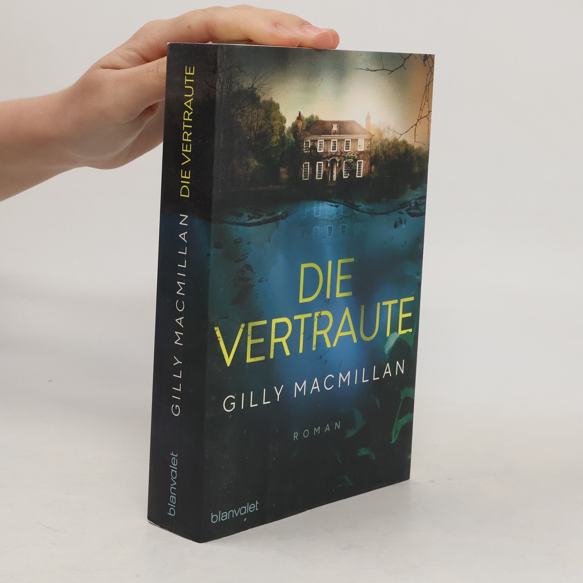 Gilly Macmillan Die Vertraute