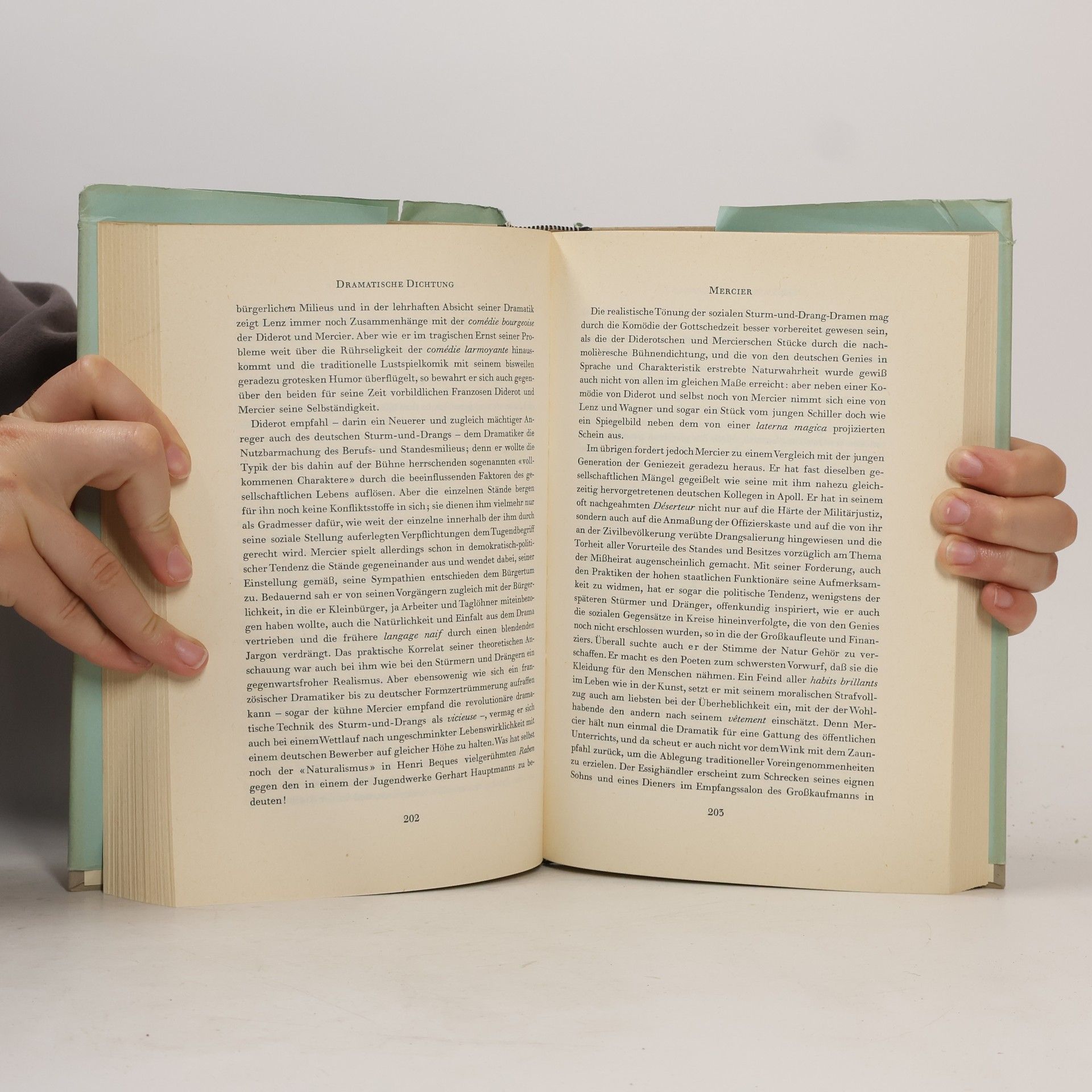 Ferdinand Josef Schneider Die deutsche Dichtung der Geniezeit 1750 - 1800
