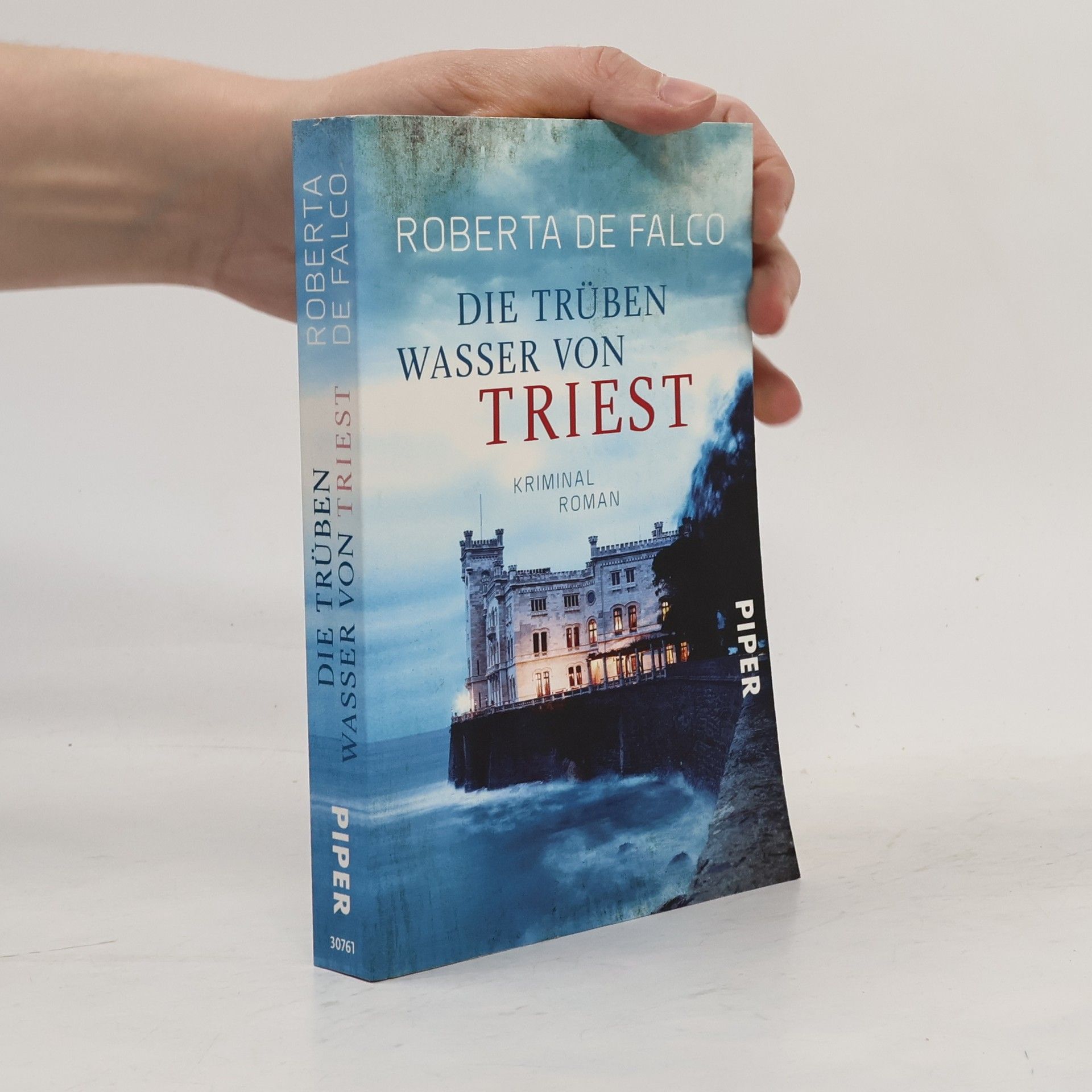 Roberta de Falco Die trüben Wasser von Triest