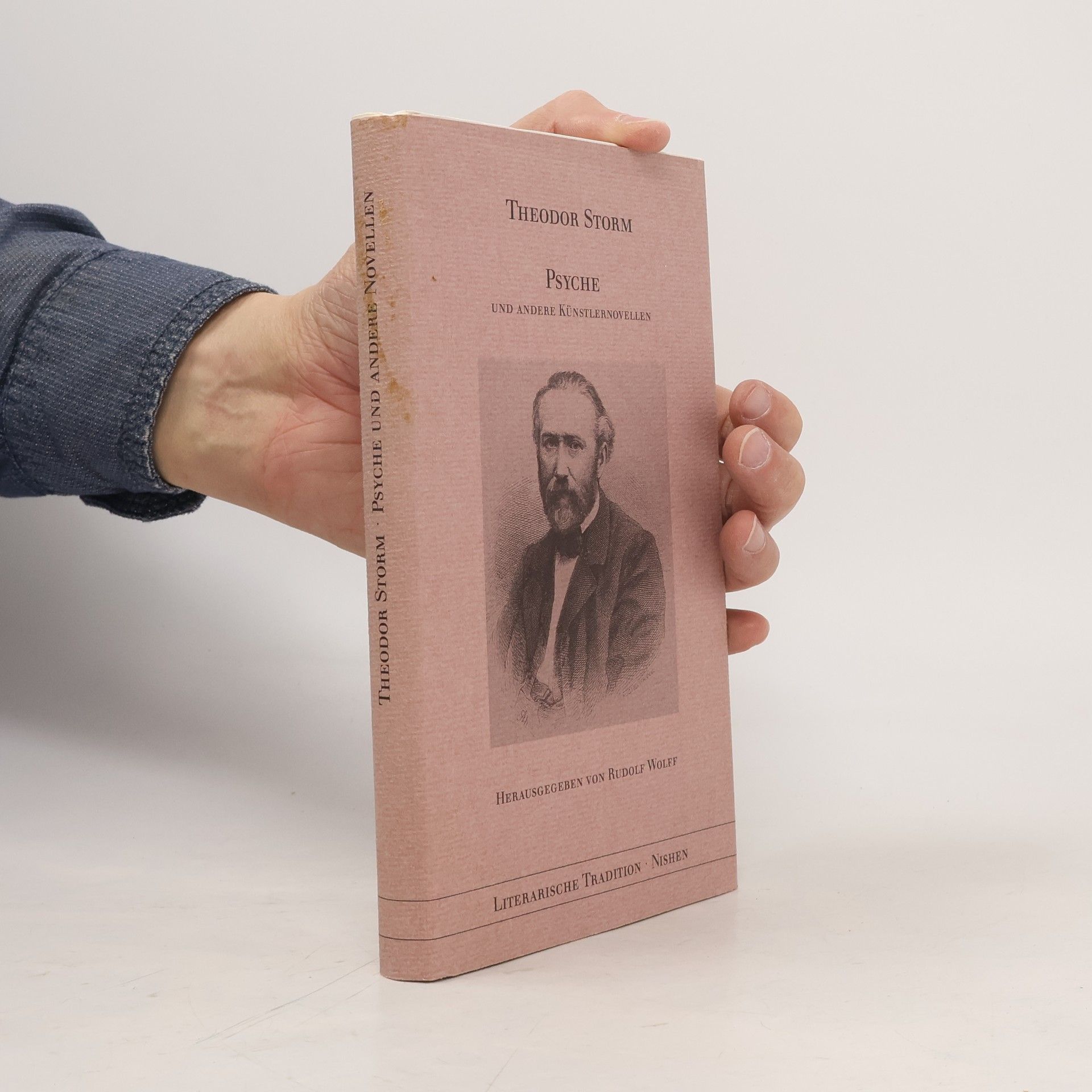 Theodor Storm Psyche und andere Künstlernovellen