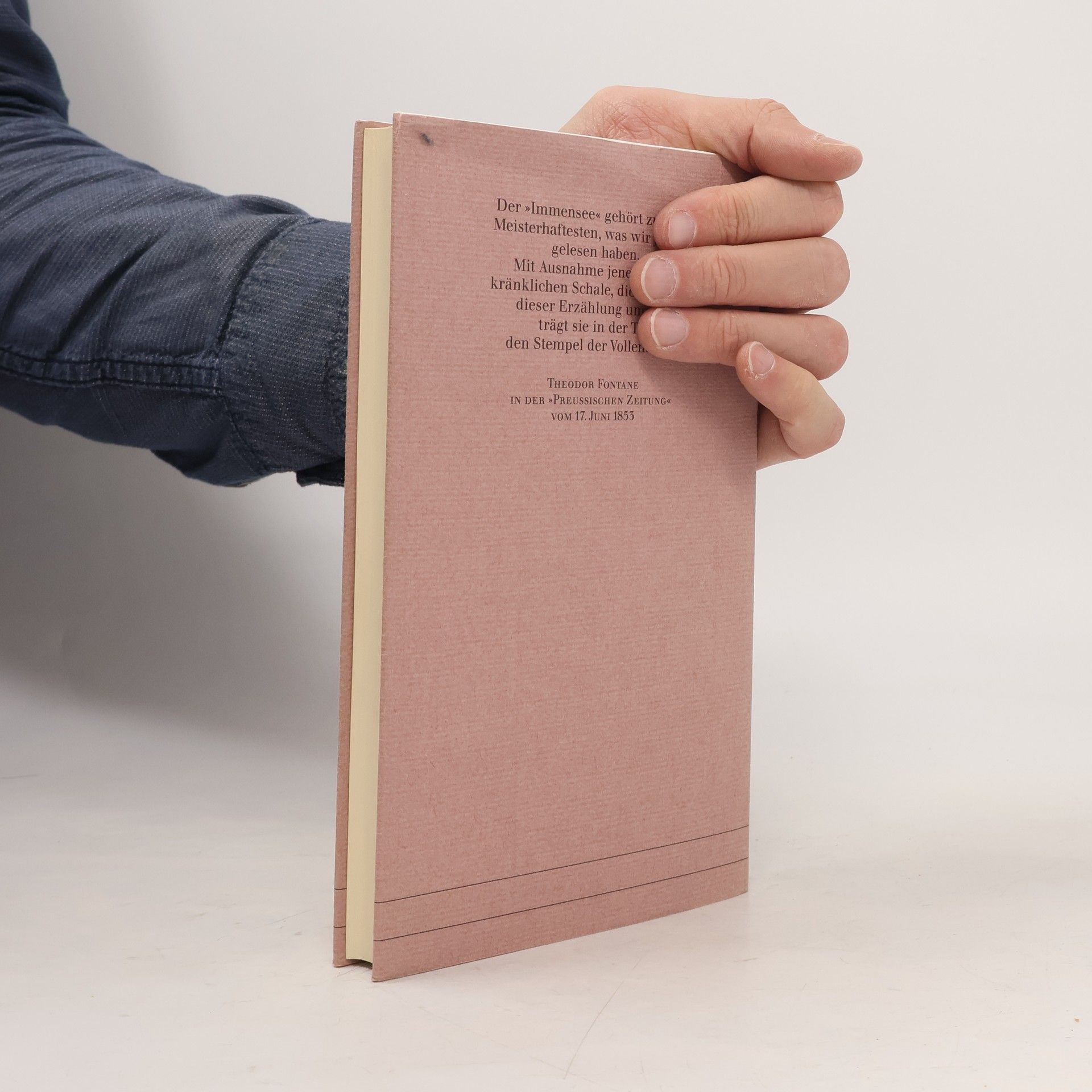 Theodor Storm Psyche und andere Künstlernovellen