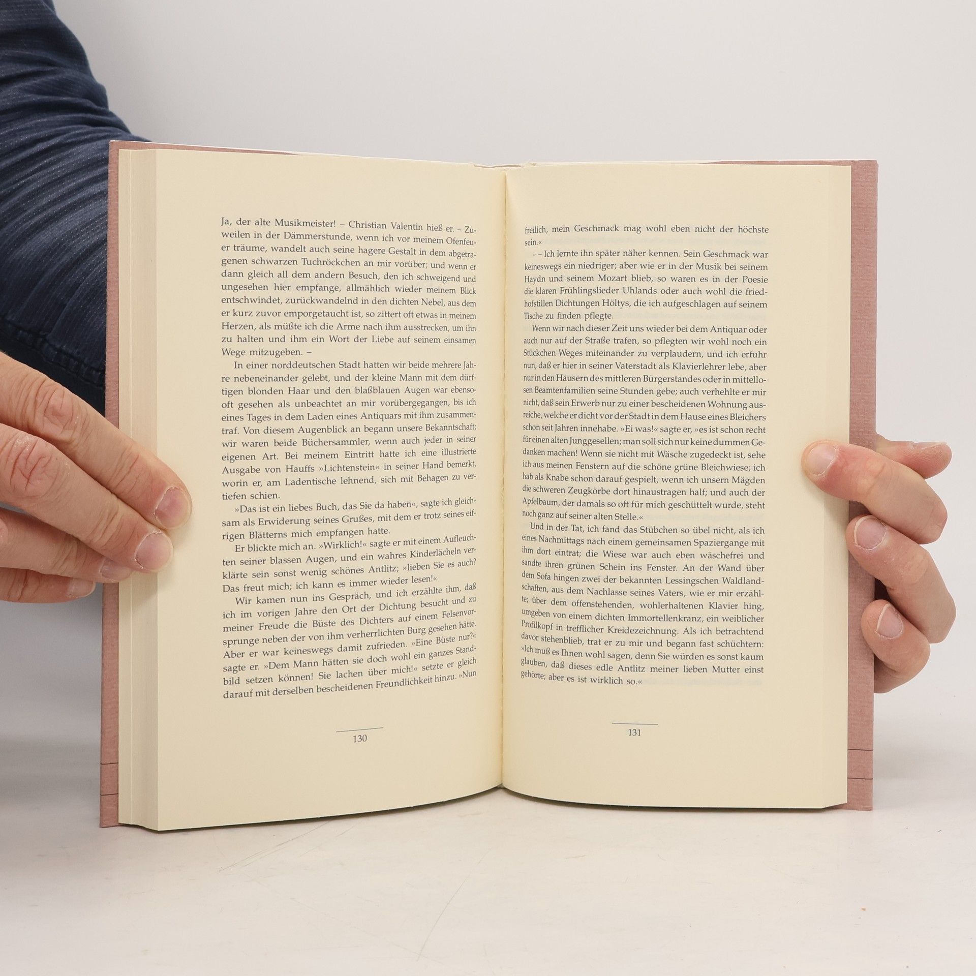 Theodor Storm Psyche und andere Künstlernovellen