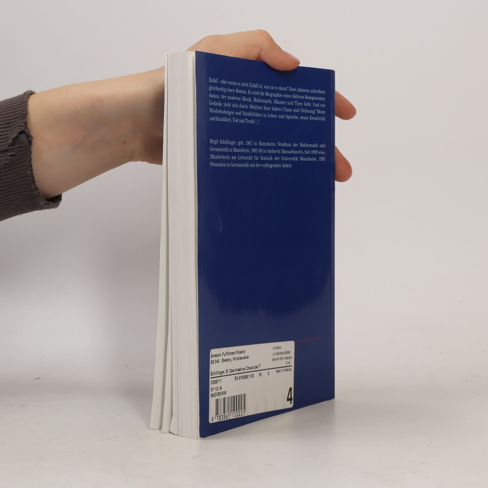 Birgit Schillinger Mannheimer Studien zur Literatur- und Kulturwissenschaft - 1: Das kreative Chaos bei Thomas Mann und Hans Henny Jahnn