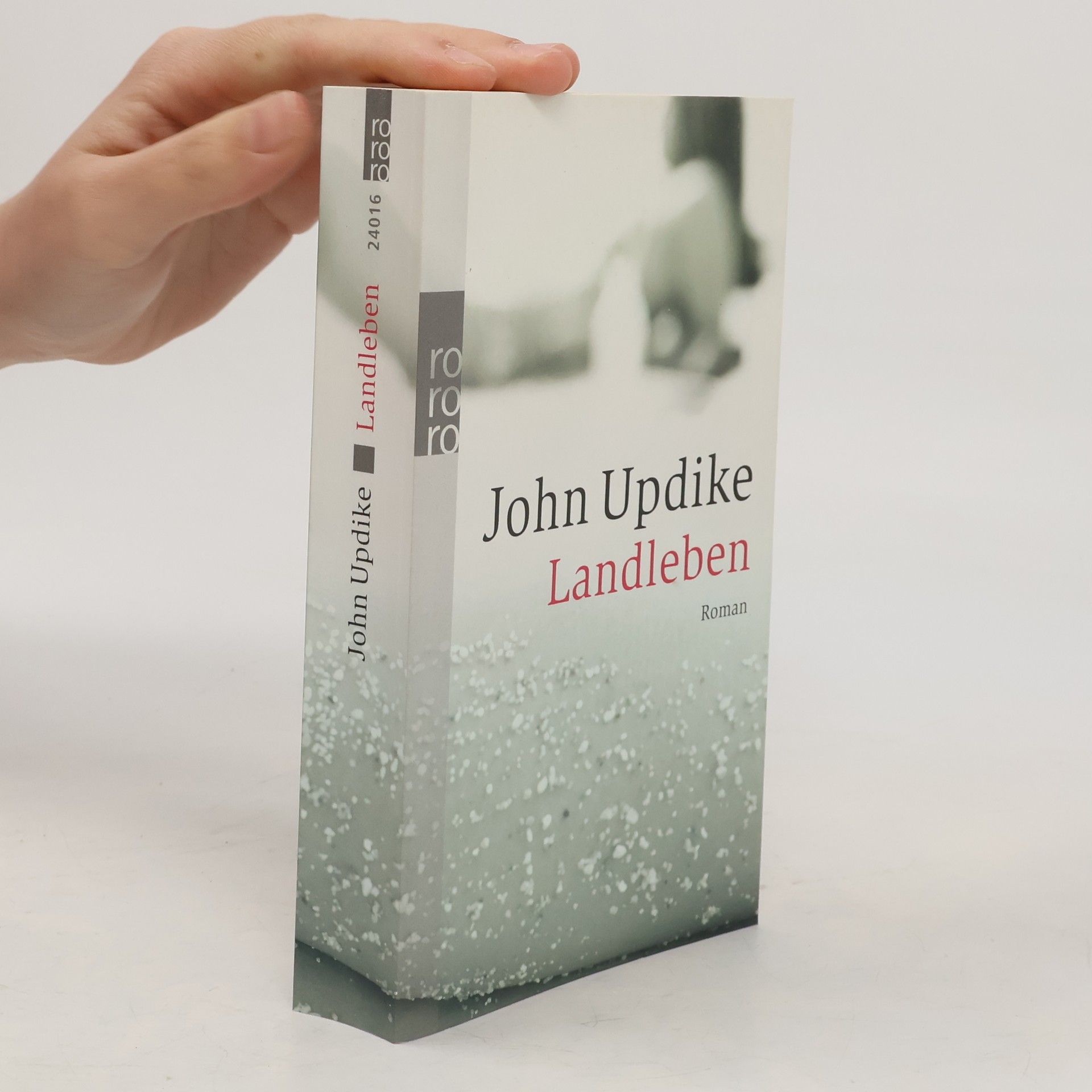 John Updike Landleben: Roman