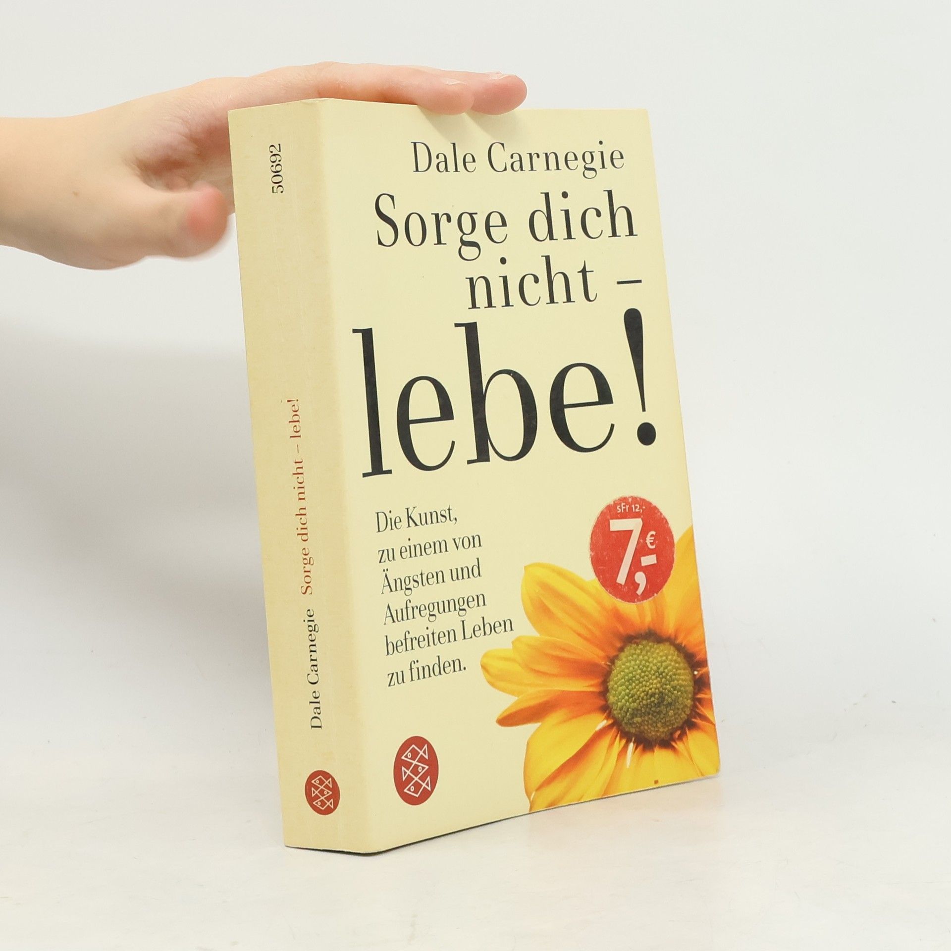 Dale Carnegie Sorge dich nicht - lebe!