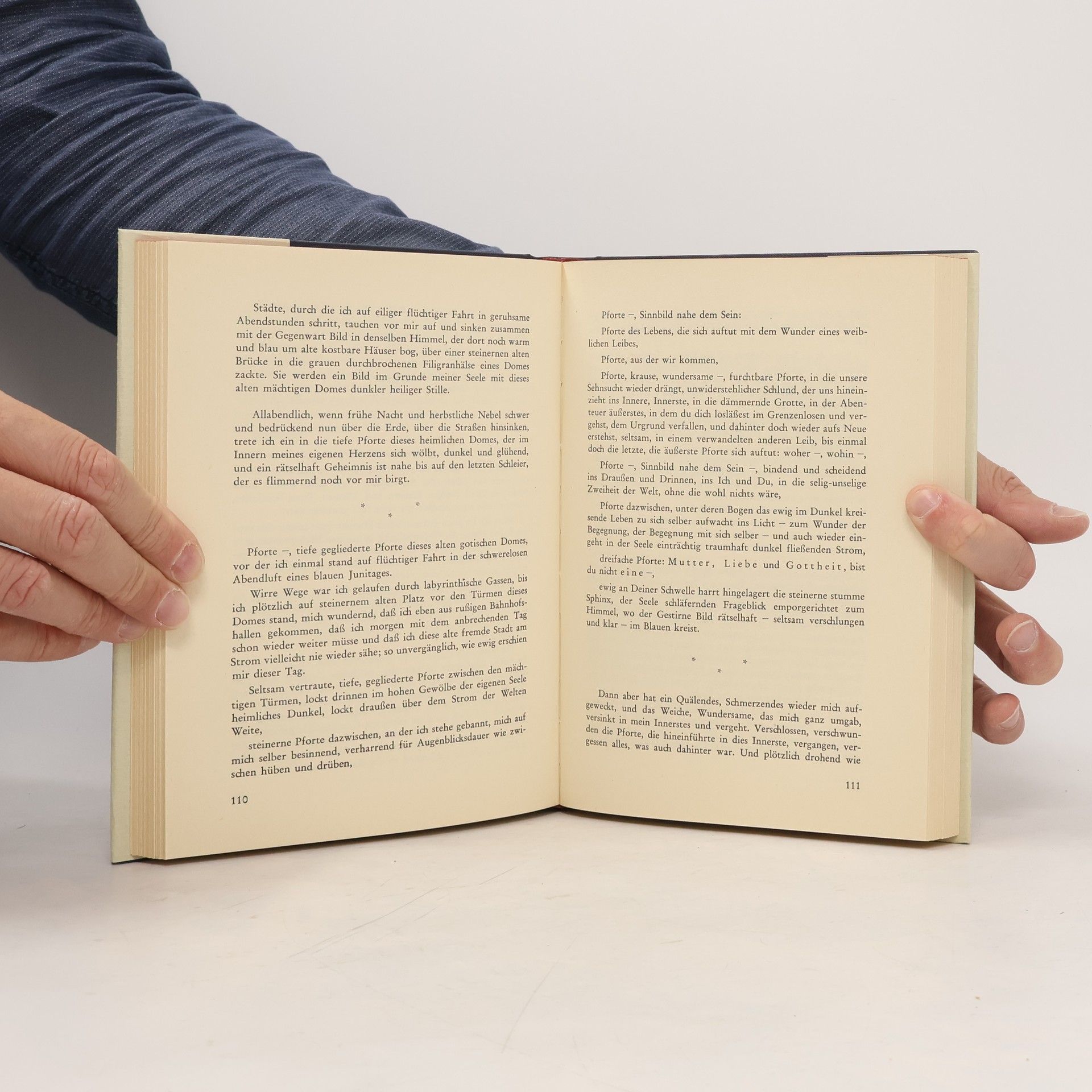 Collectif d'auteurs Jugendfragment des Hanns Alexander Matthieu
