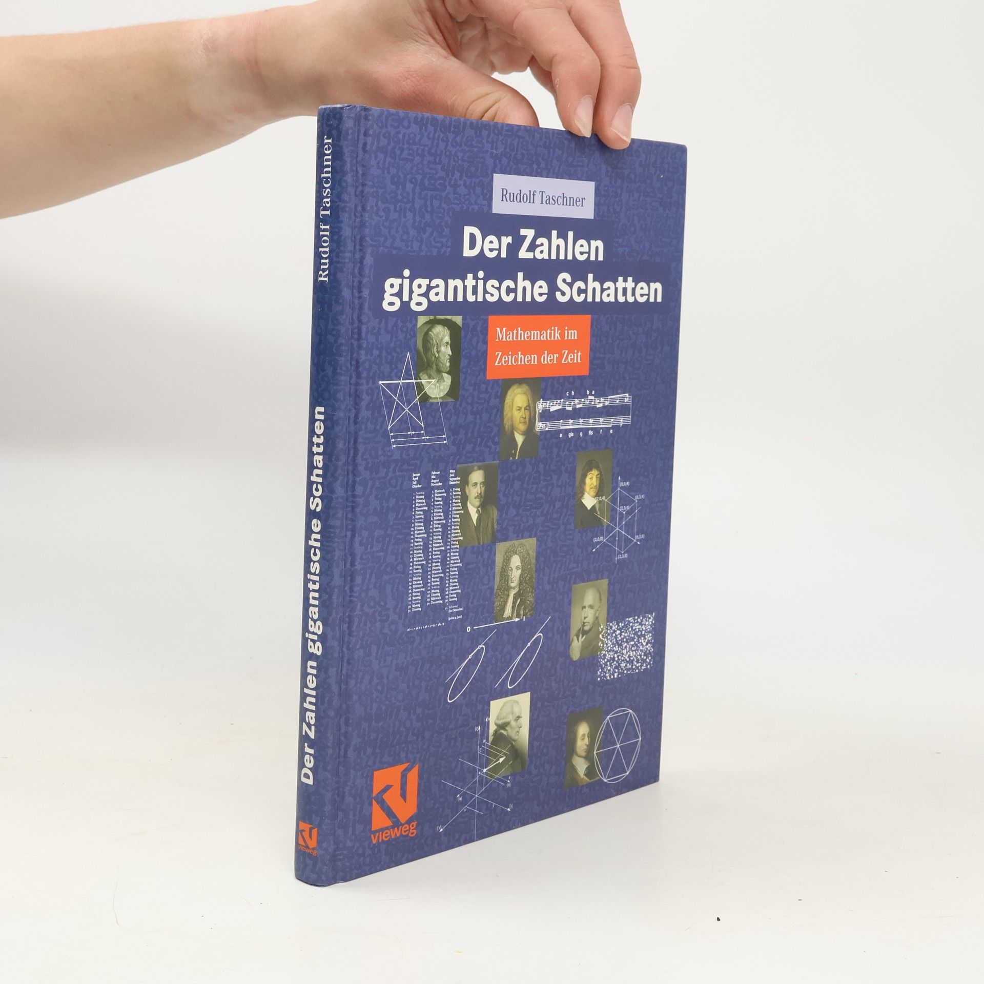 Rudolf Taschner Der Zahlen gigantische Schatten