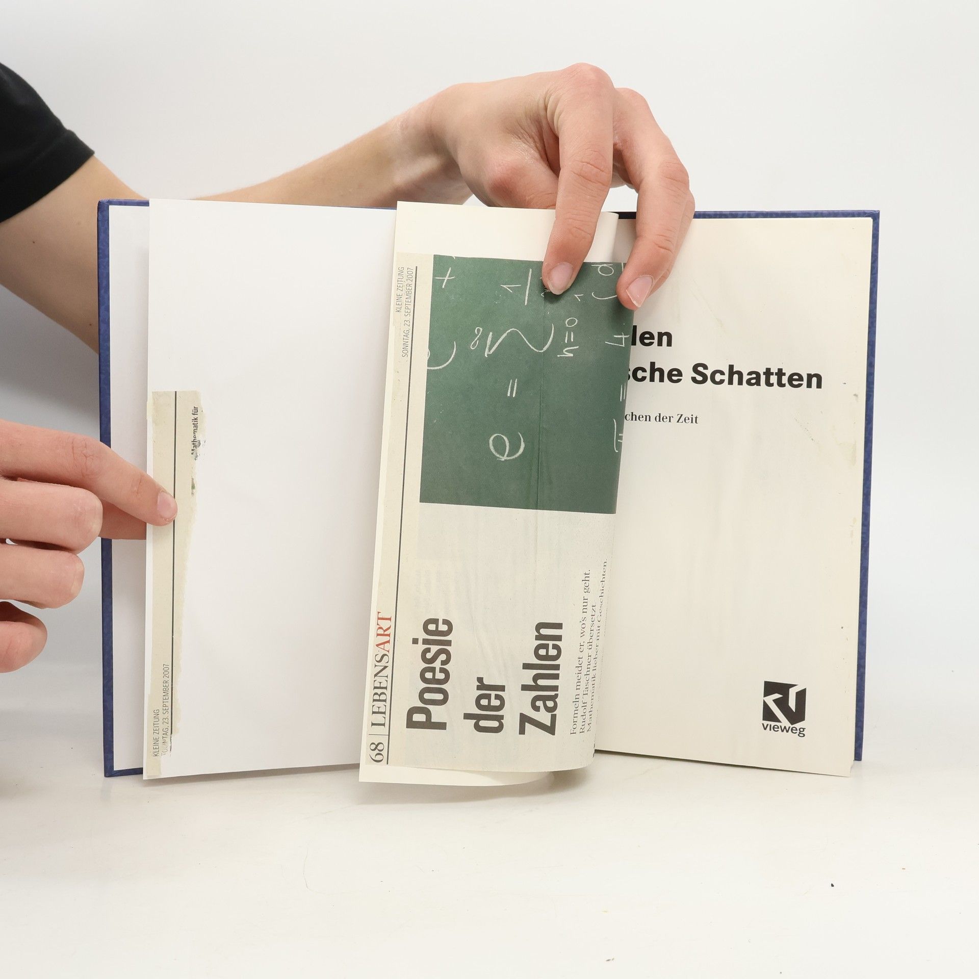 Rudolf Taschner Der Zahlen gigantische Schatten