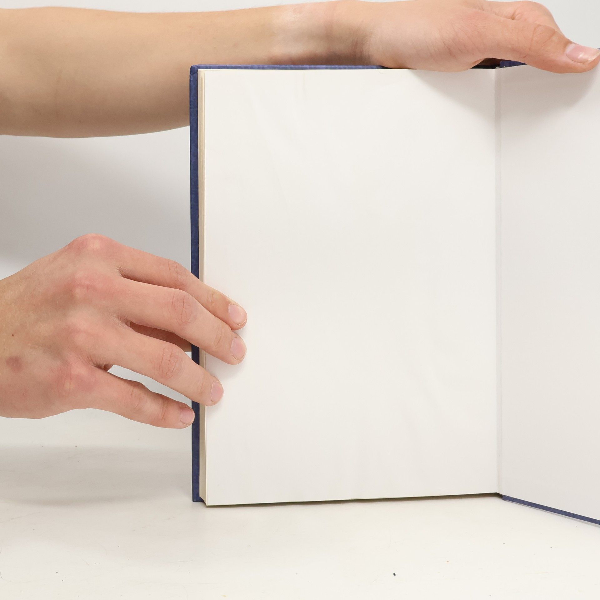 Rudolf Taschner Der Zahlen gigantische Schatten