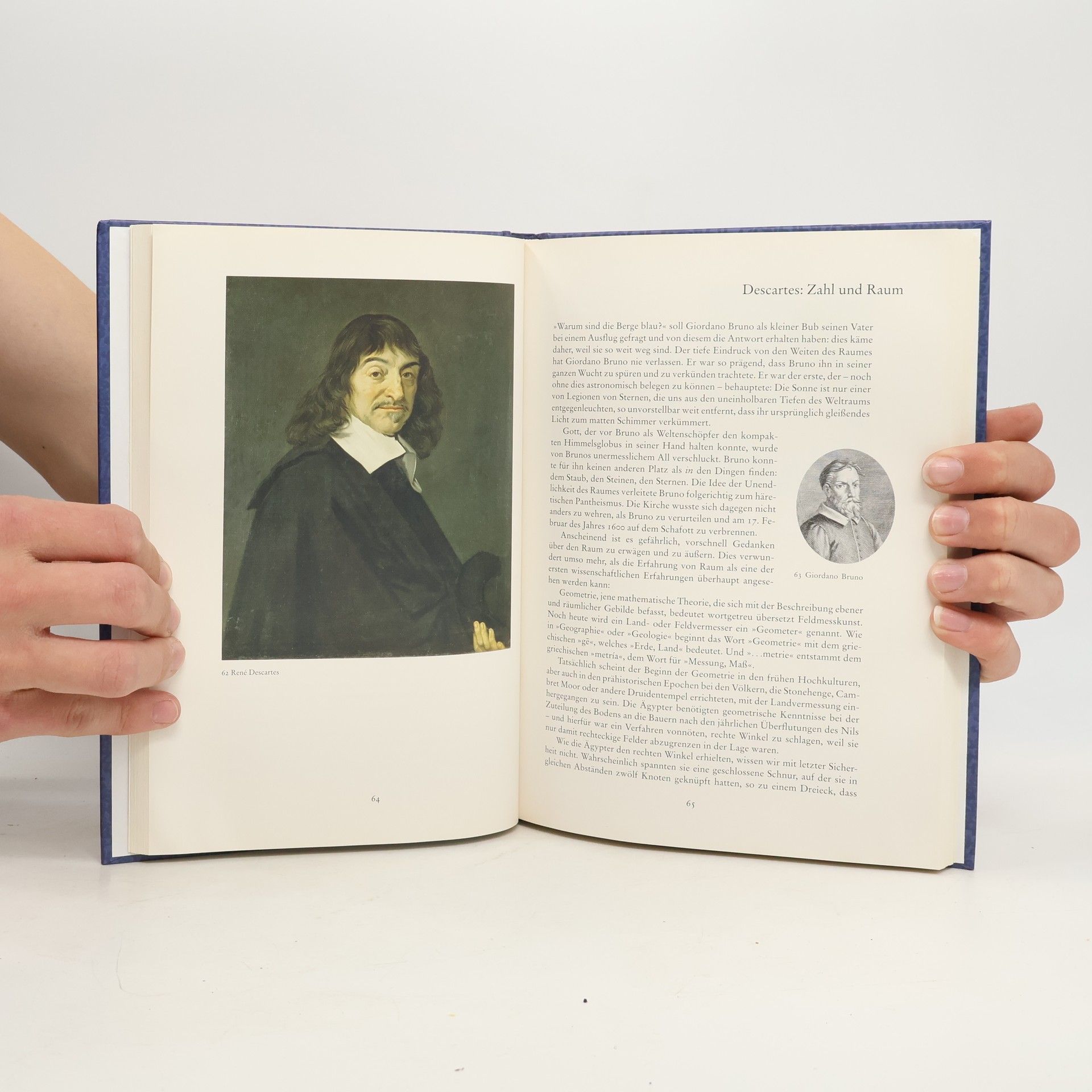 Rudolf Taschner Der Zahlen gigantische Schatten