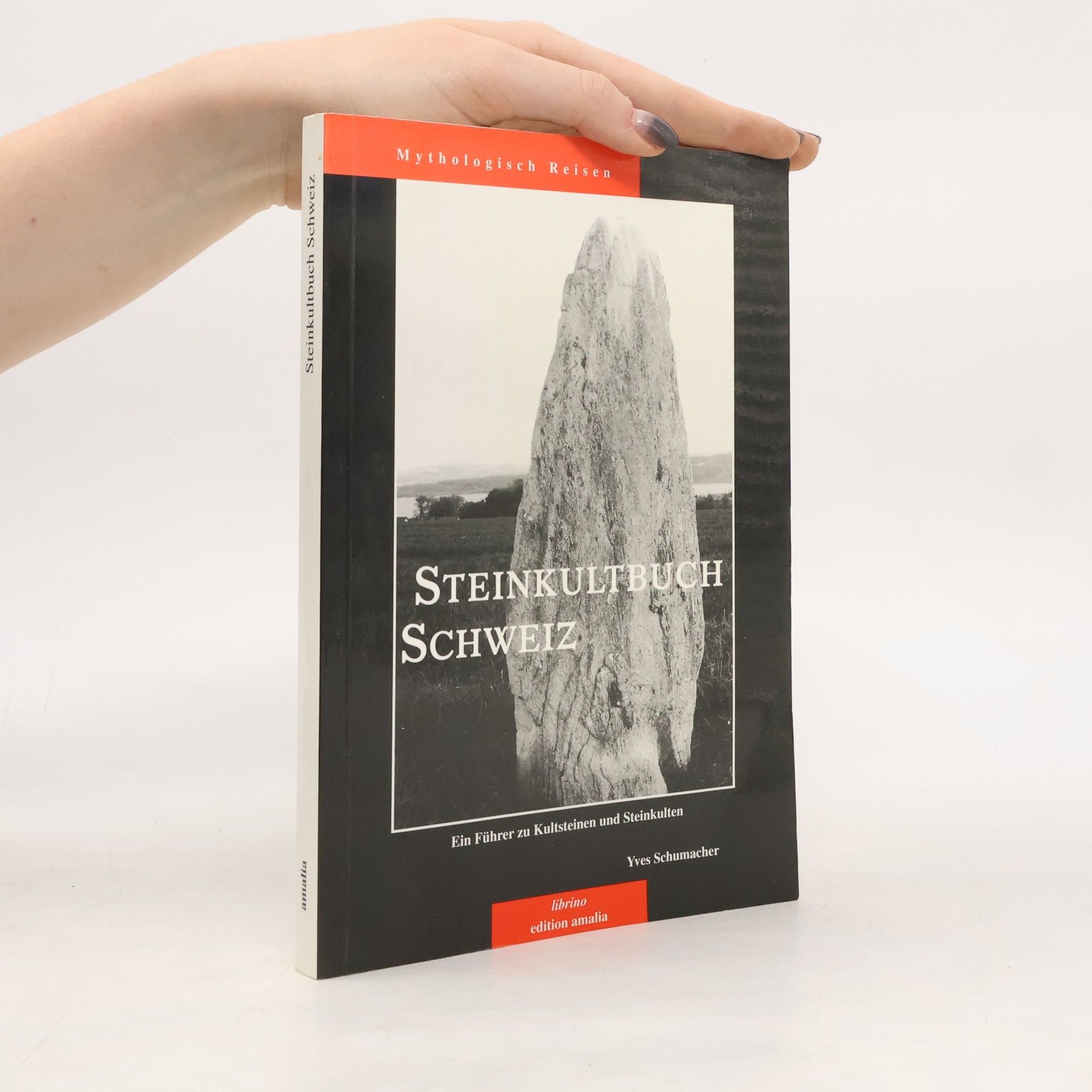 Yves Schumacher Steinkultbuch Schweiz