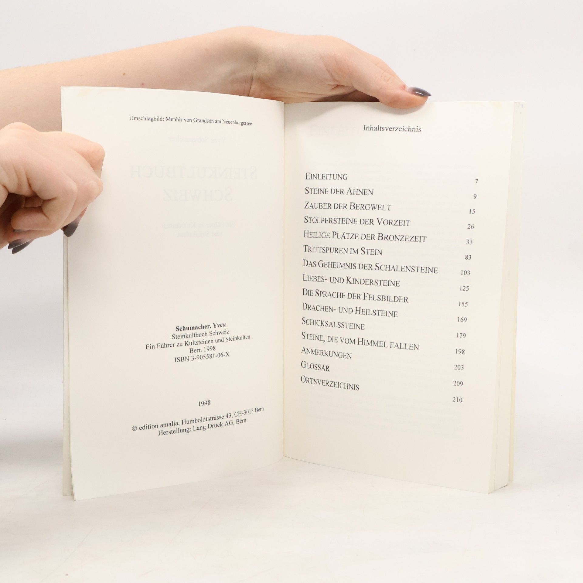 Yves Schumacher Steinkultbuch Schweiz